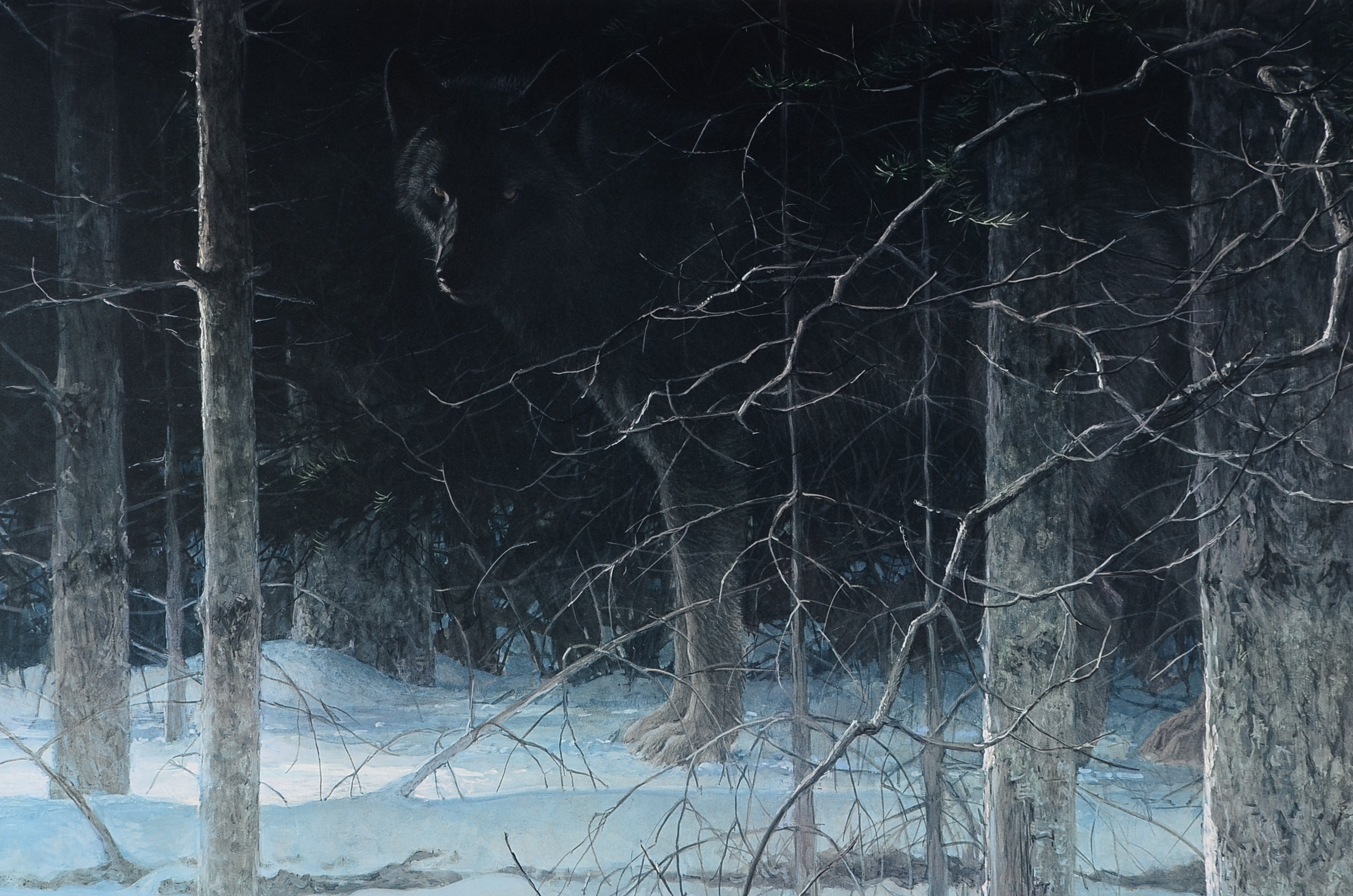 Signed Robert Bateman Framed "Midnight - Black Wolf" Print
