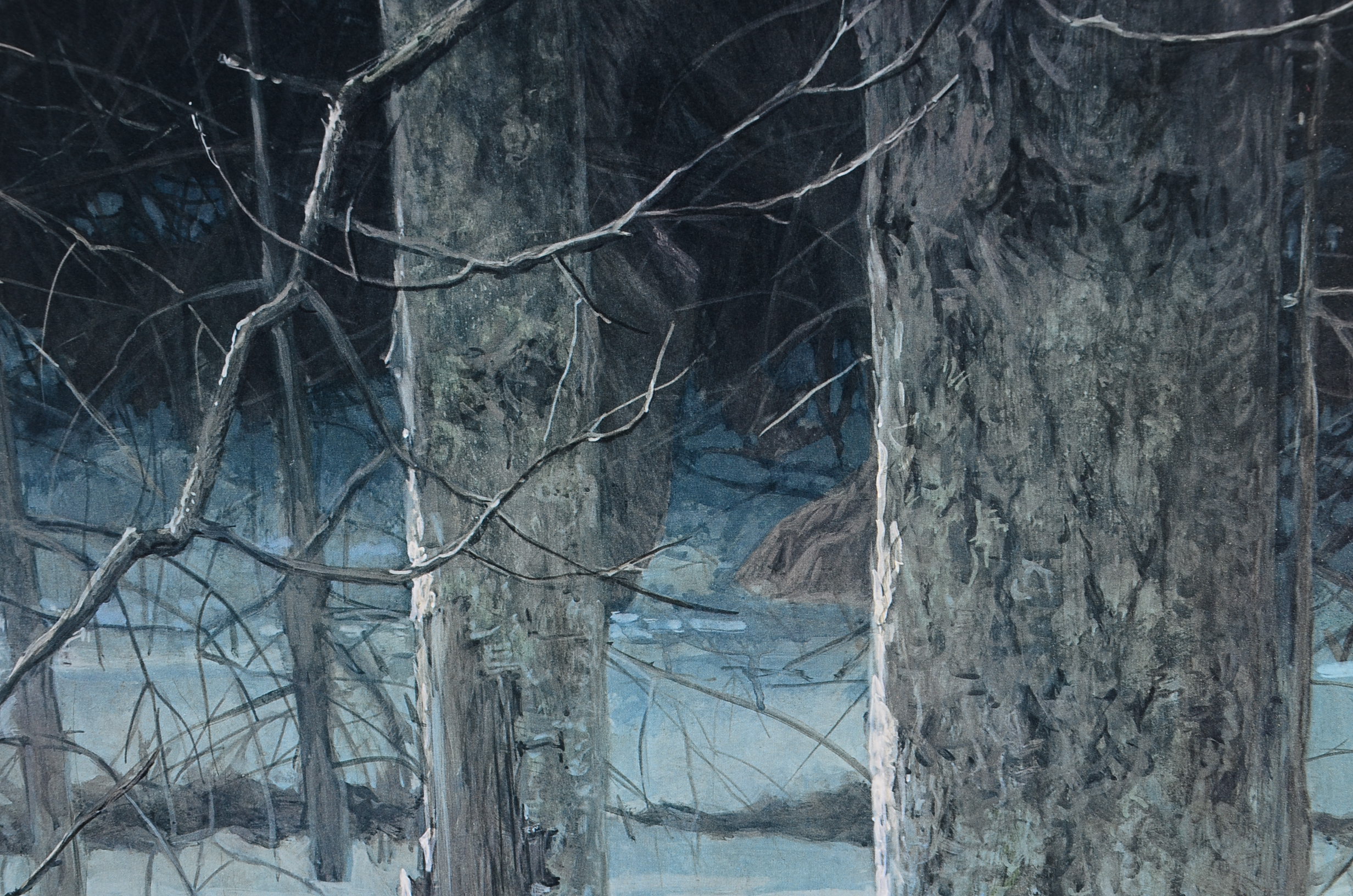 Signed Robert Bateman Framed "Midnight - Black Wolf" Print