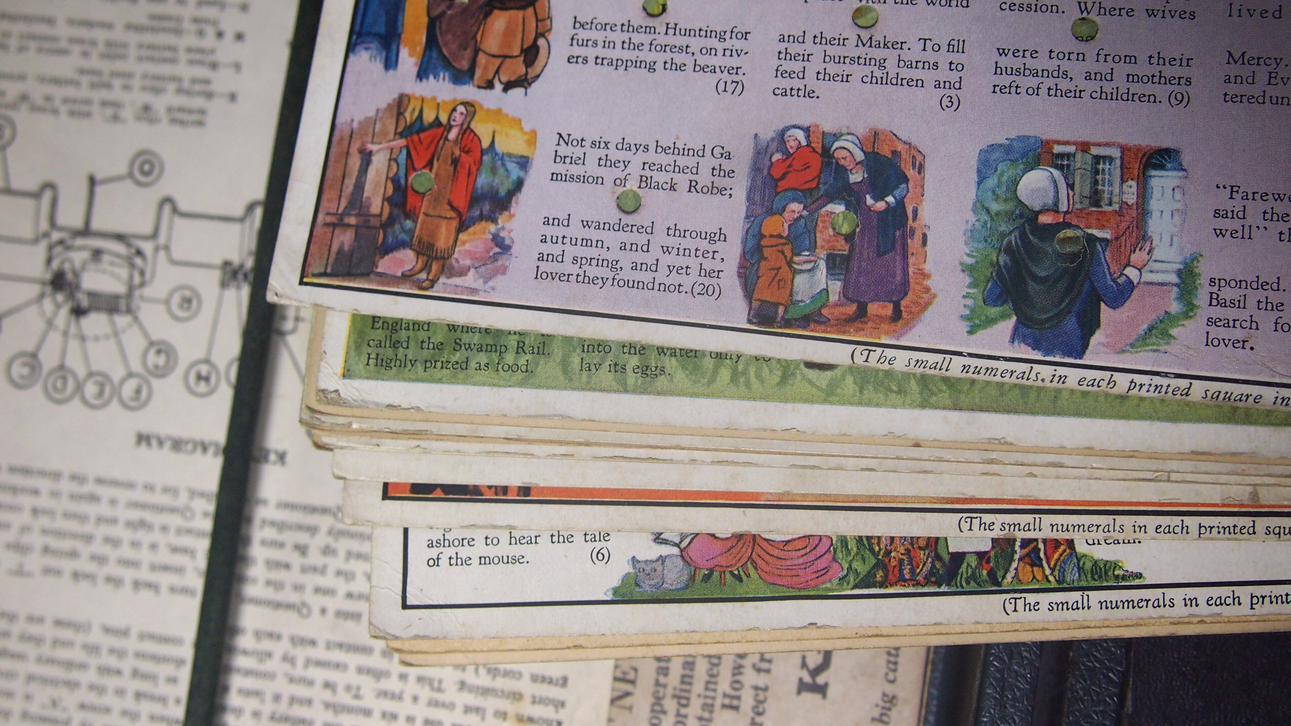 Knapp Electric Questioner Game