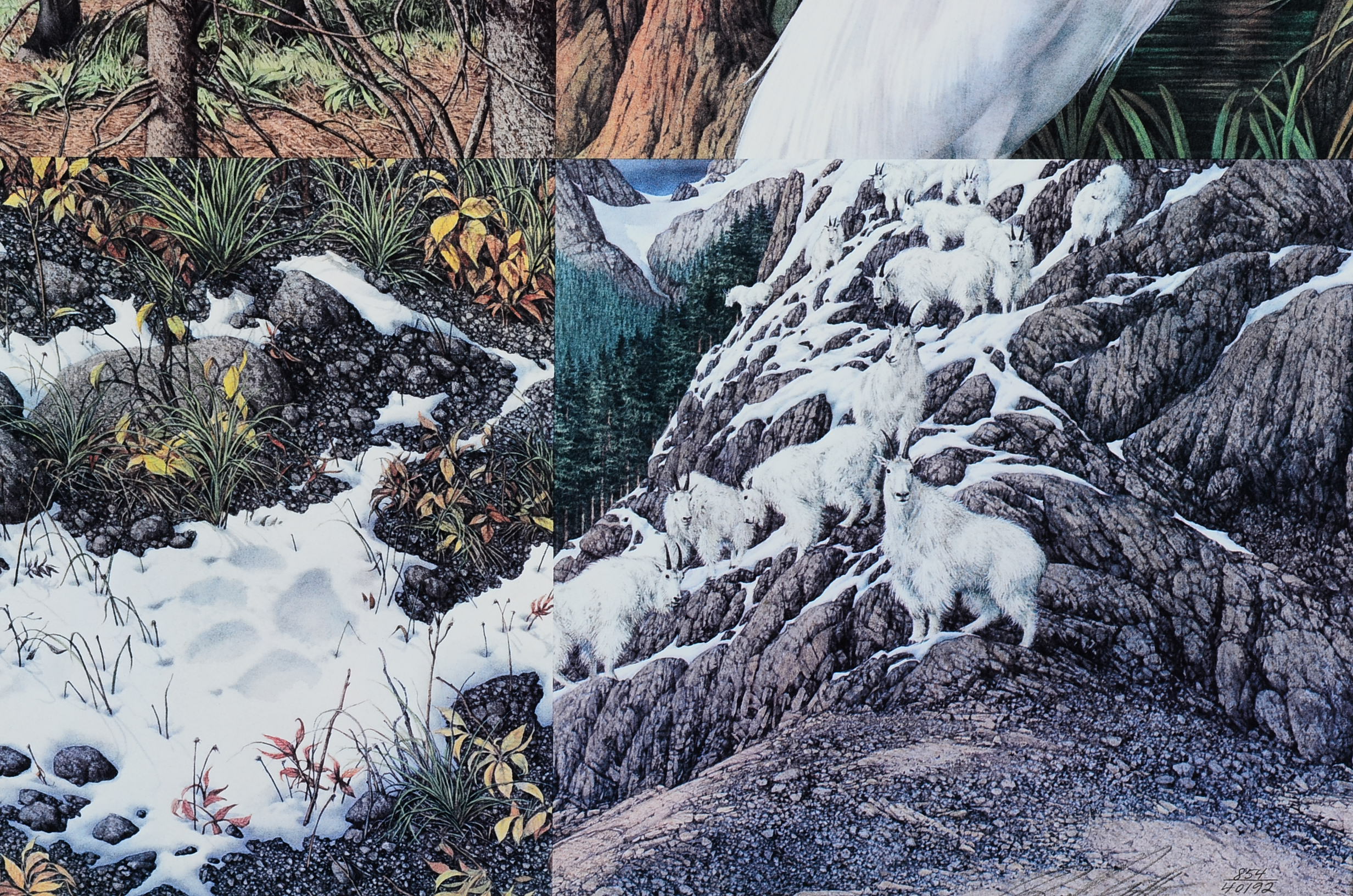 Framed Signed "Sacred Circle" Print Bev Doolittle