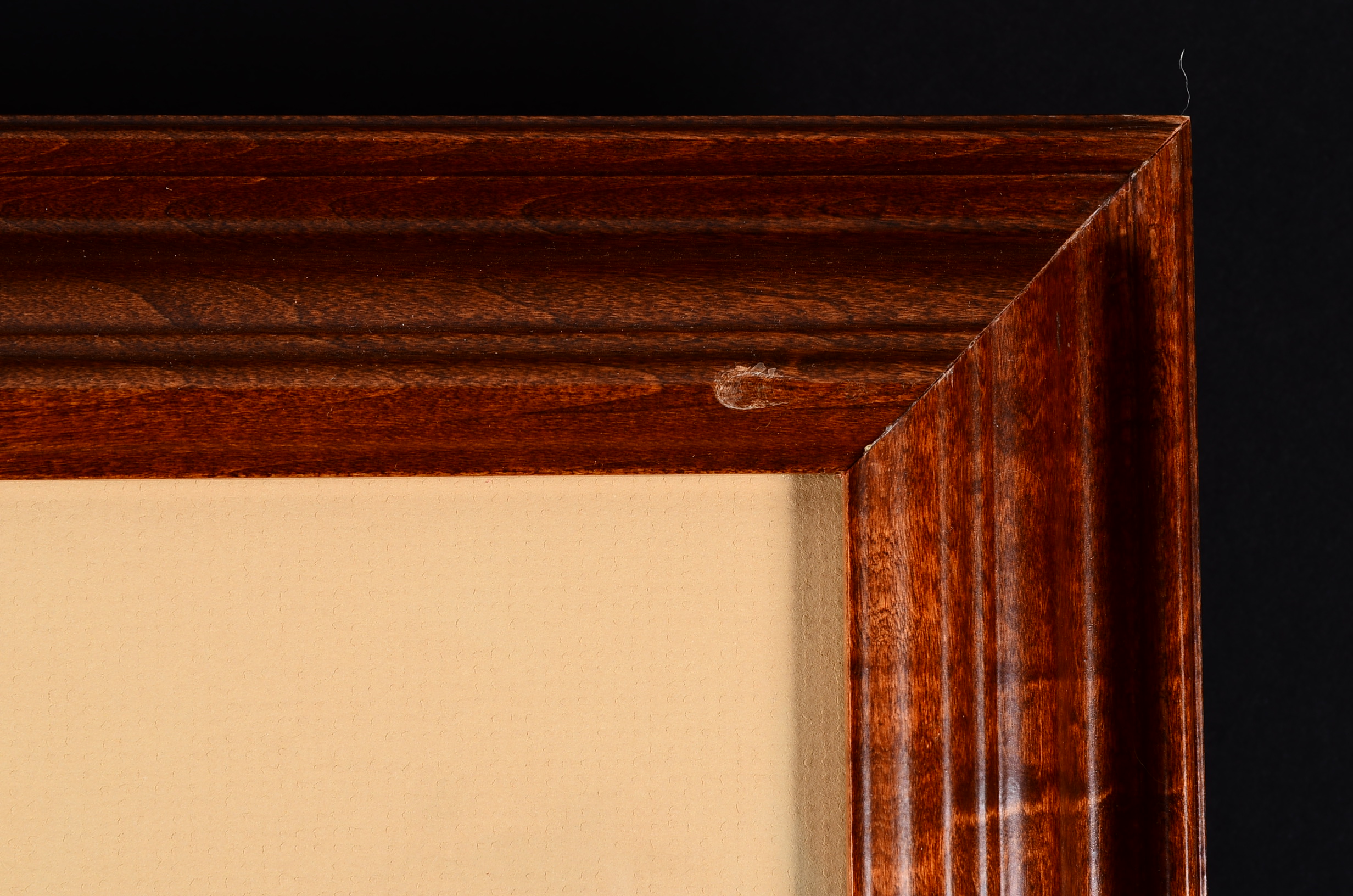 Framed Signed "Sacred Circle" Print Bev Doolittle