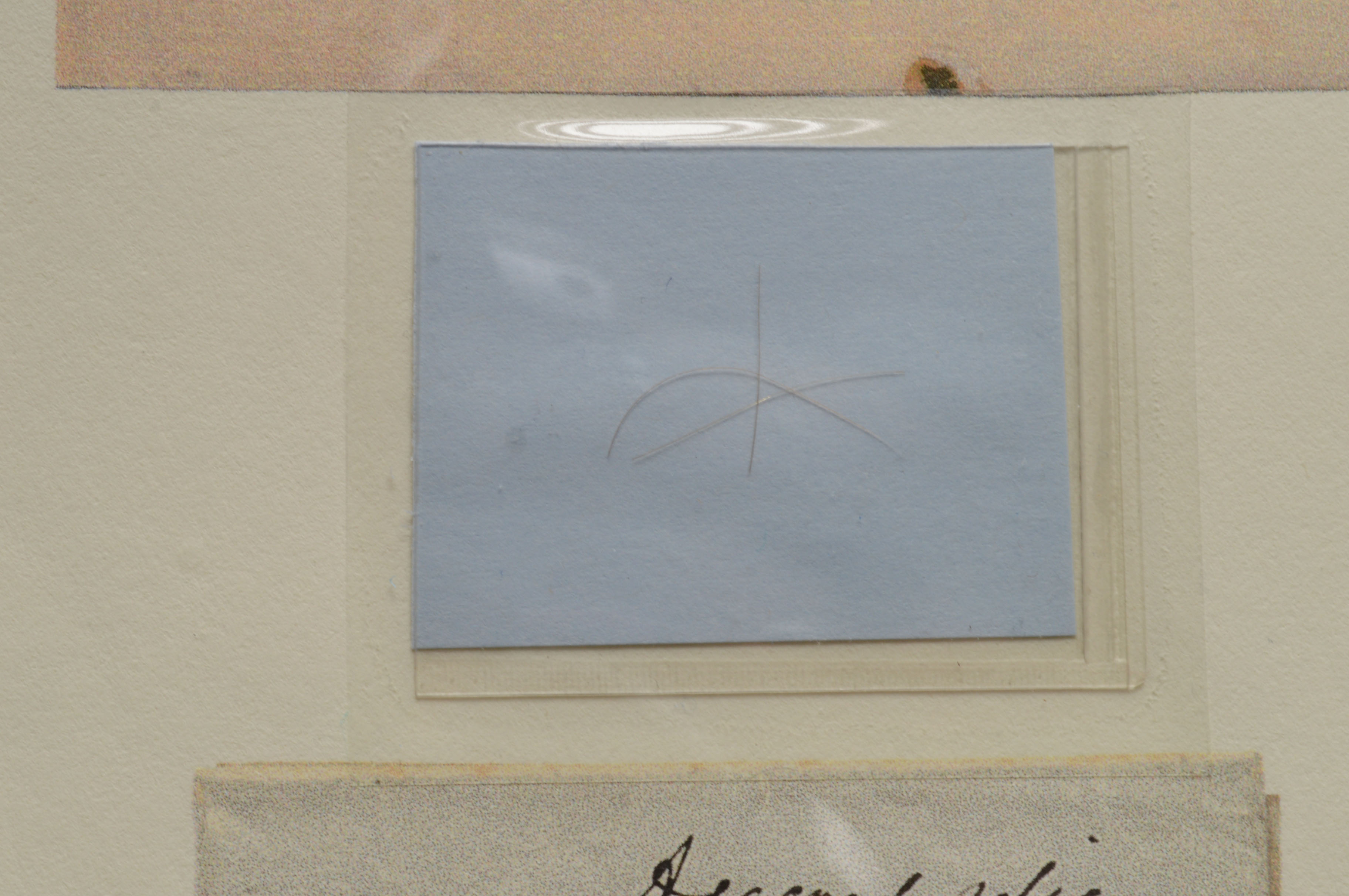 President Andrew Jackson Locks of Hair