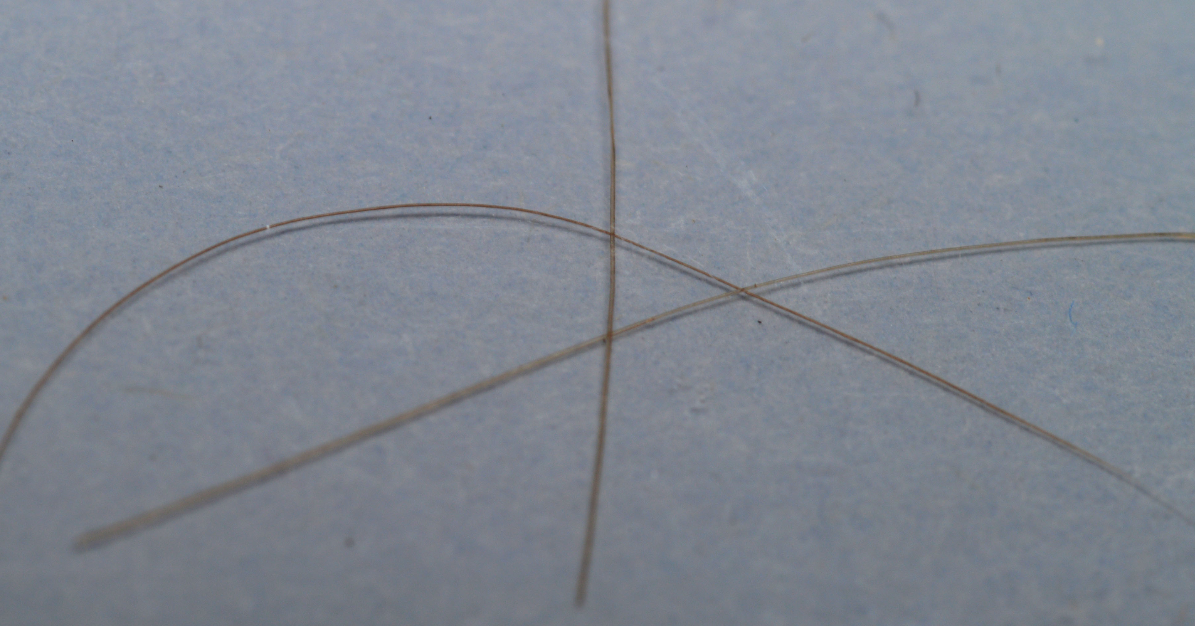 President Andrew Jackson Locks of Hair