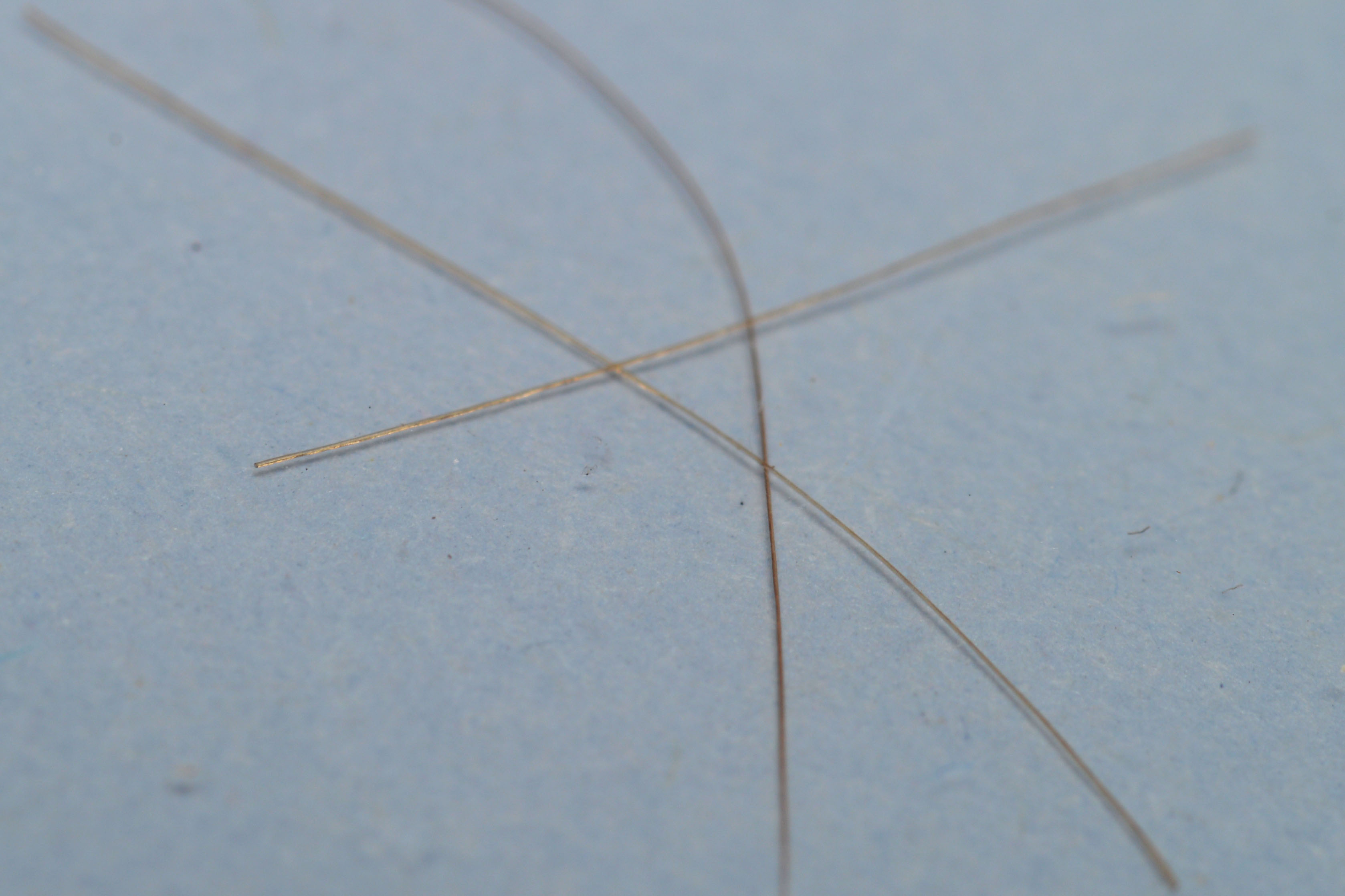 President Andrew Jackson Locks of Hair