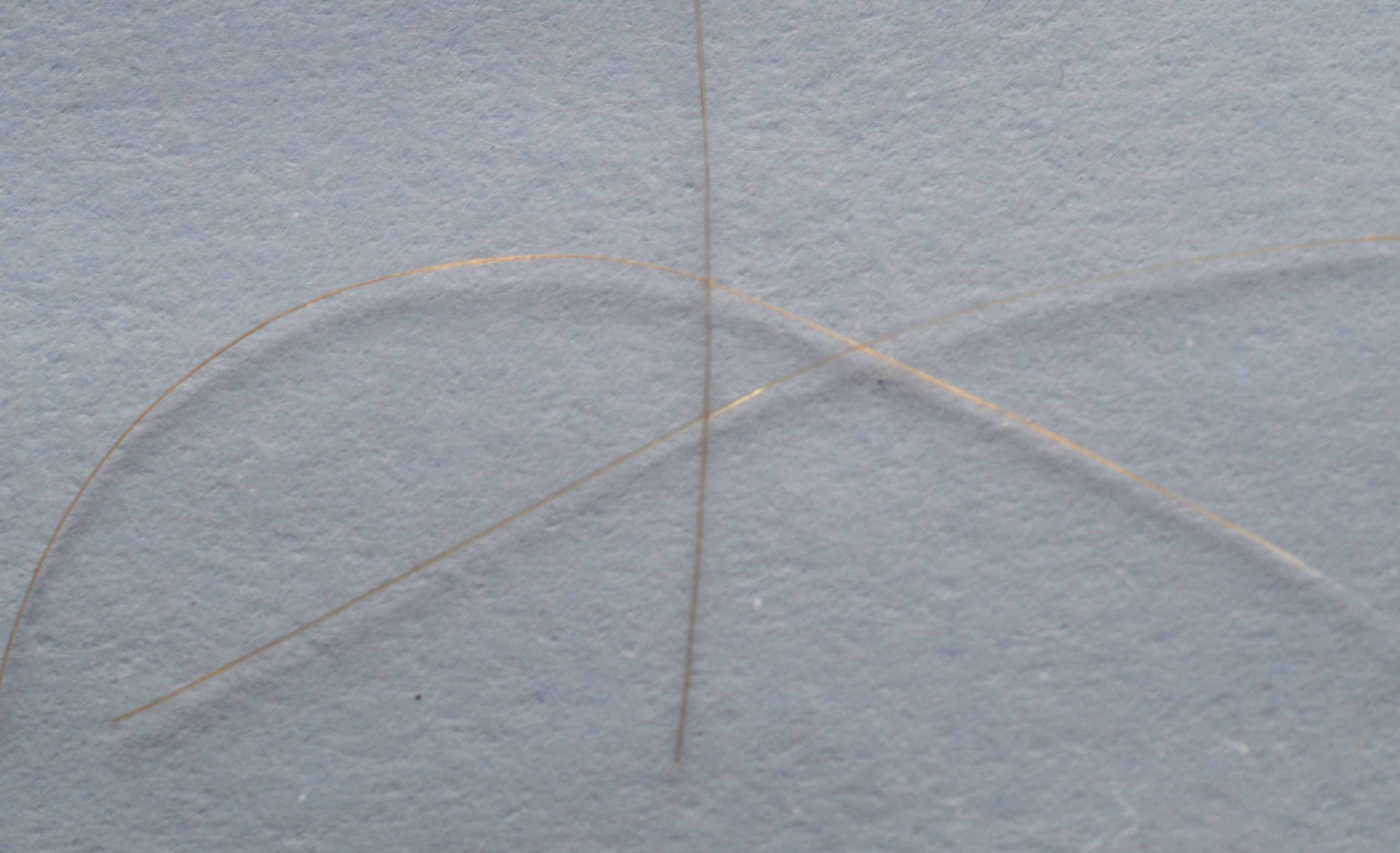 President Andrew Jackson Locks of Hair