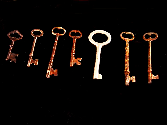 Parker Fountain Pen with Gold Nib, Skeleton Keys, Skrip Ink