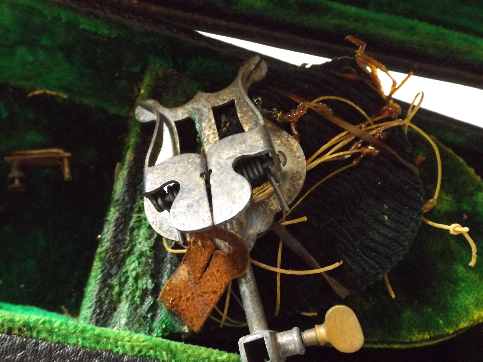 Vintage Carlisle Violin with Case and Bow