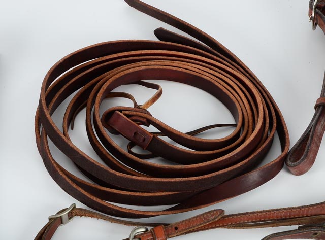 Assortment of Horse Tack