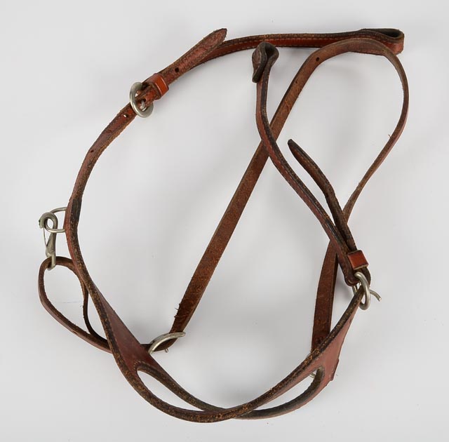Assortment of Horse Tack