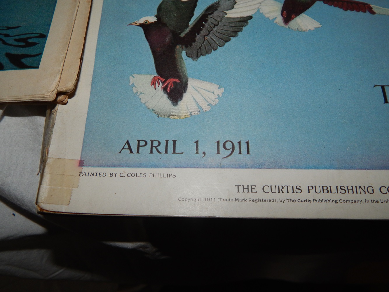 Women's Magazine Collection 