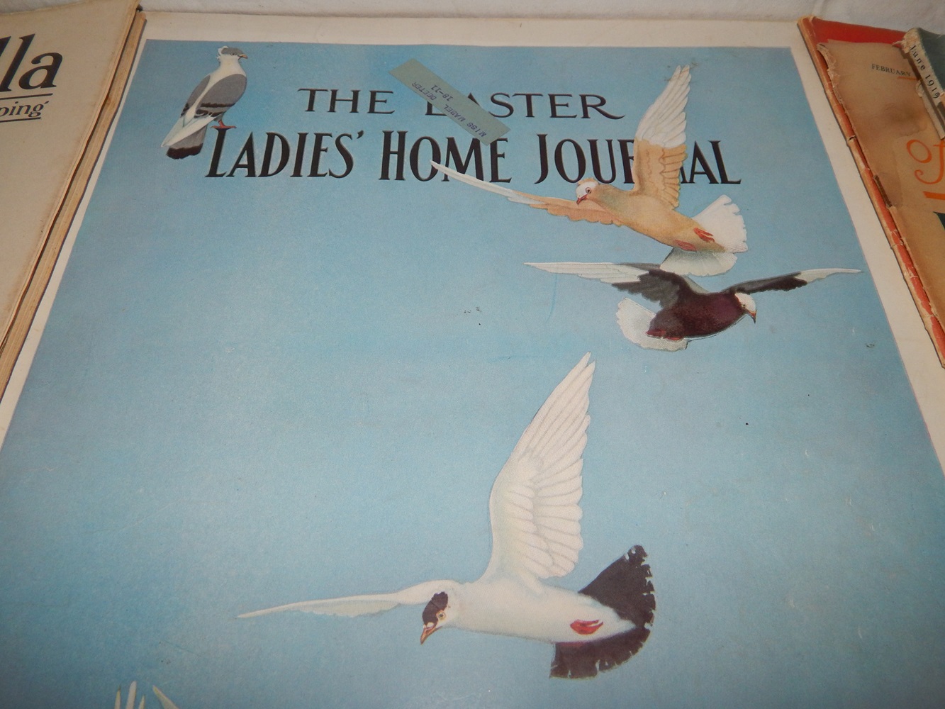 Women's Magazine Collection 