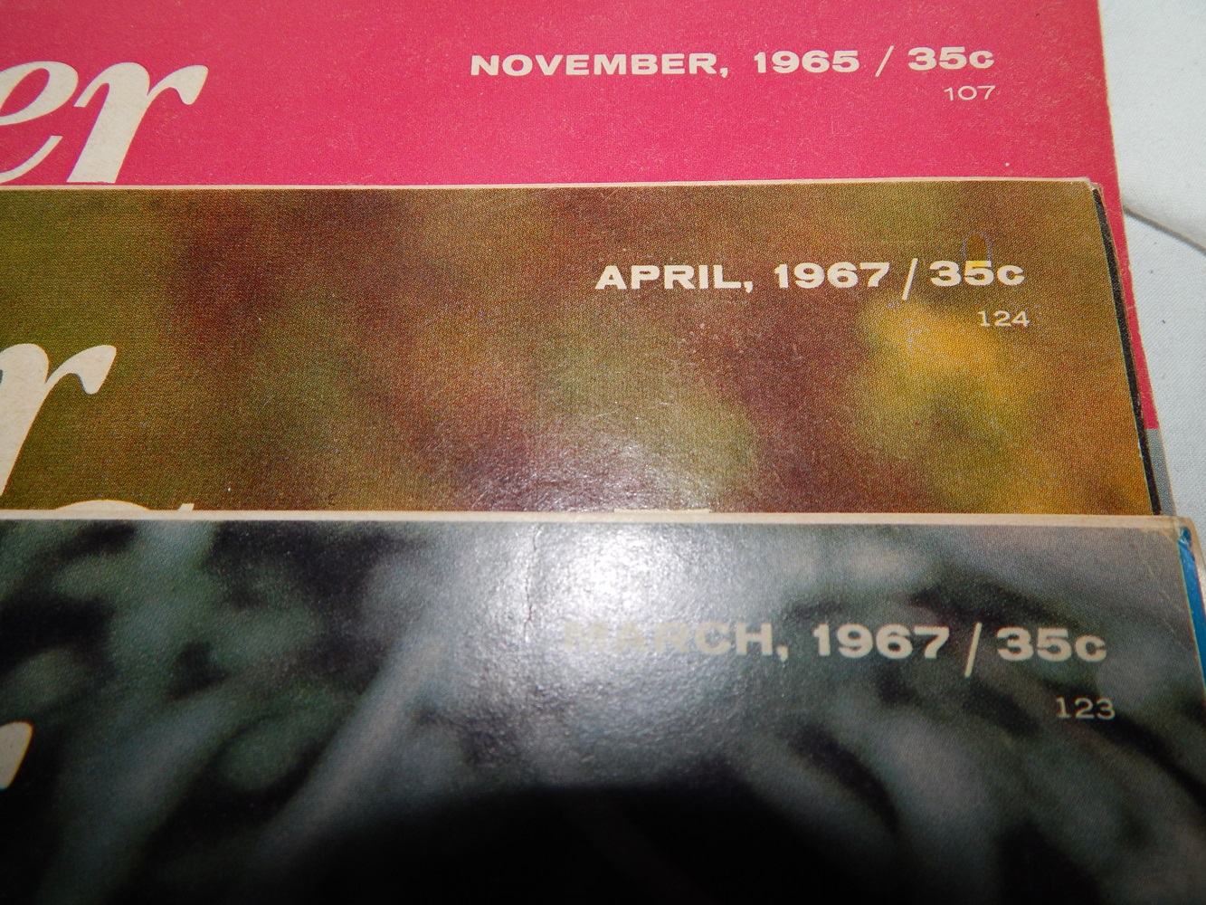 Women's Magazine Collection 