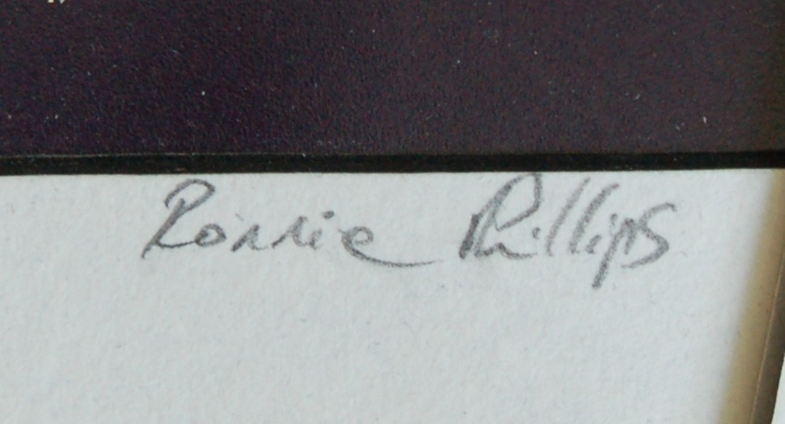 Hand-Colored Photographs 