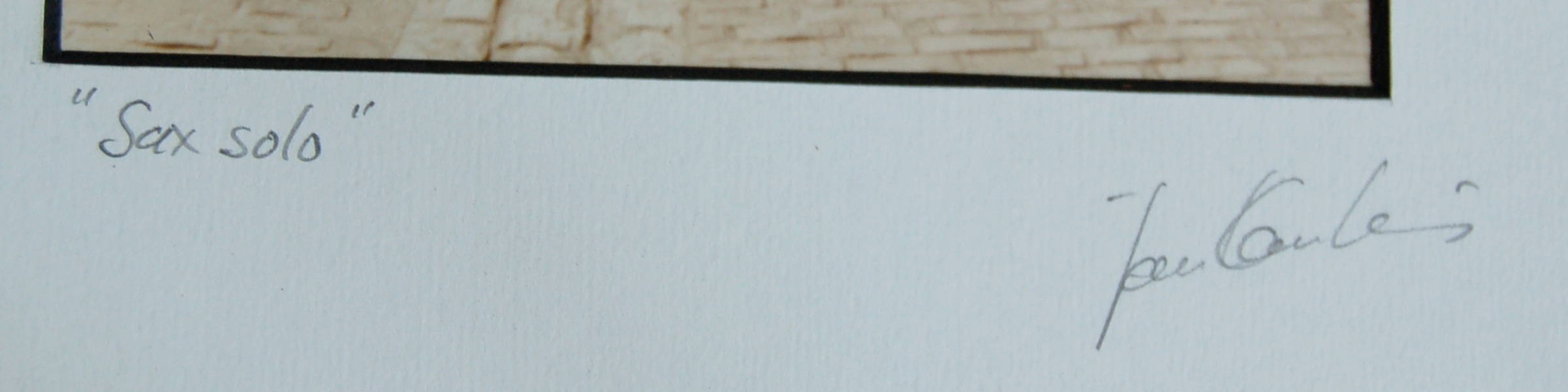 Hand-Colored Photographs 