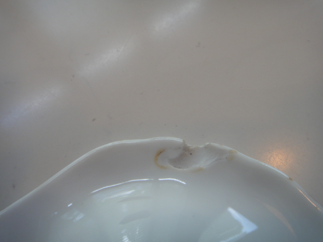 Majolica Oyster Plate and More