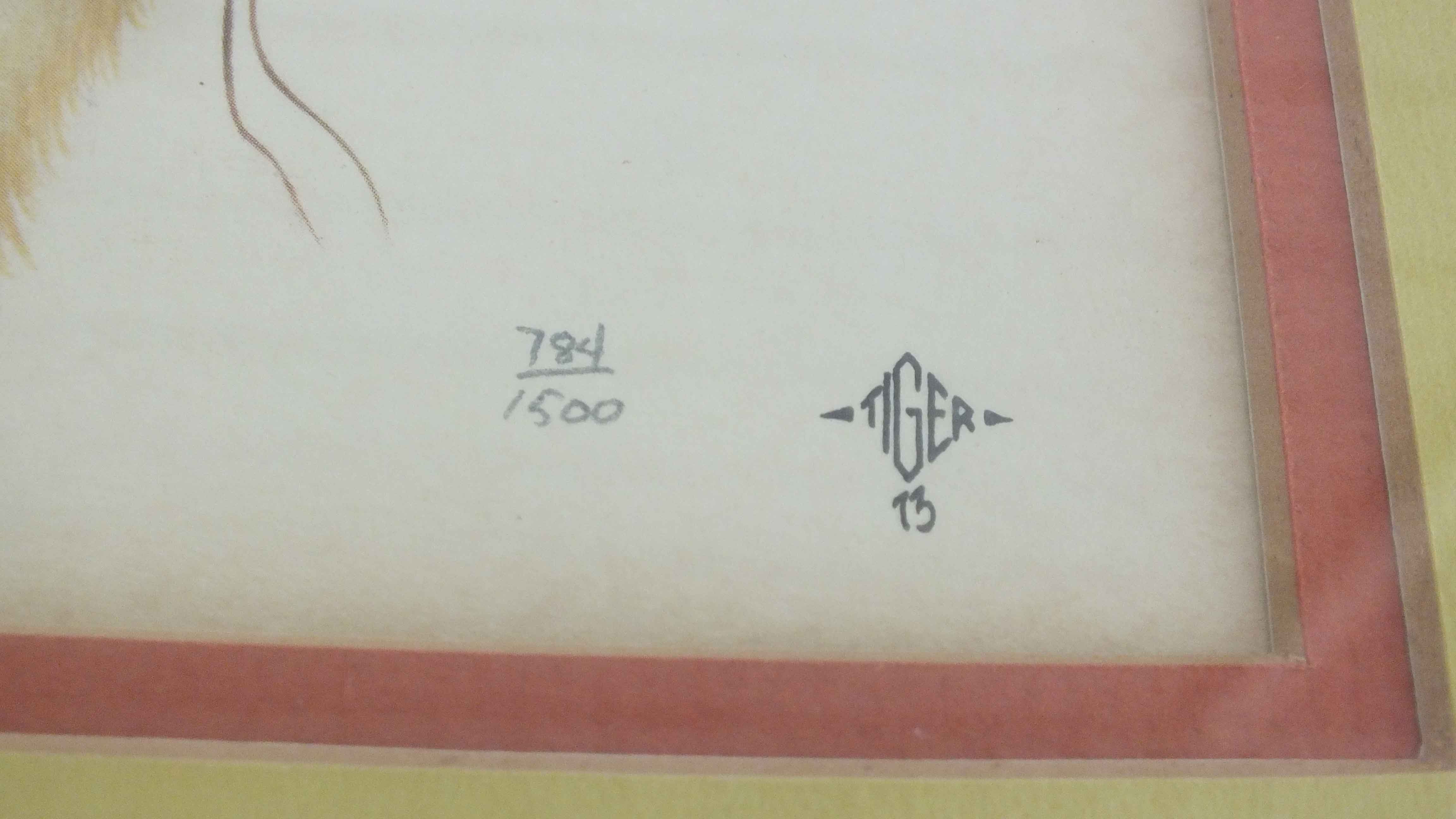 Signed and Numbered Johnny Tiger Print