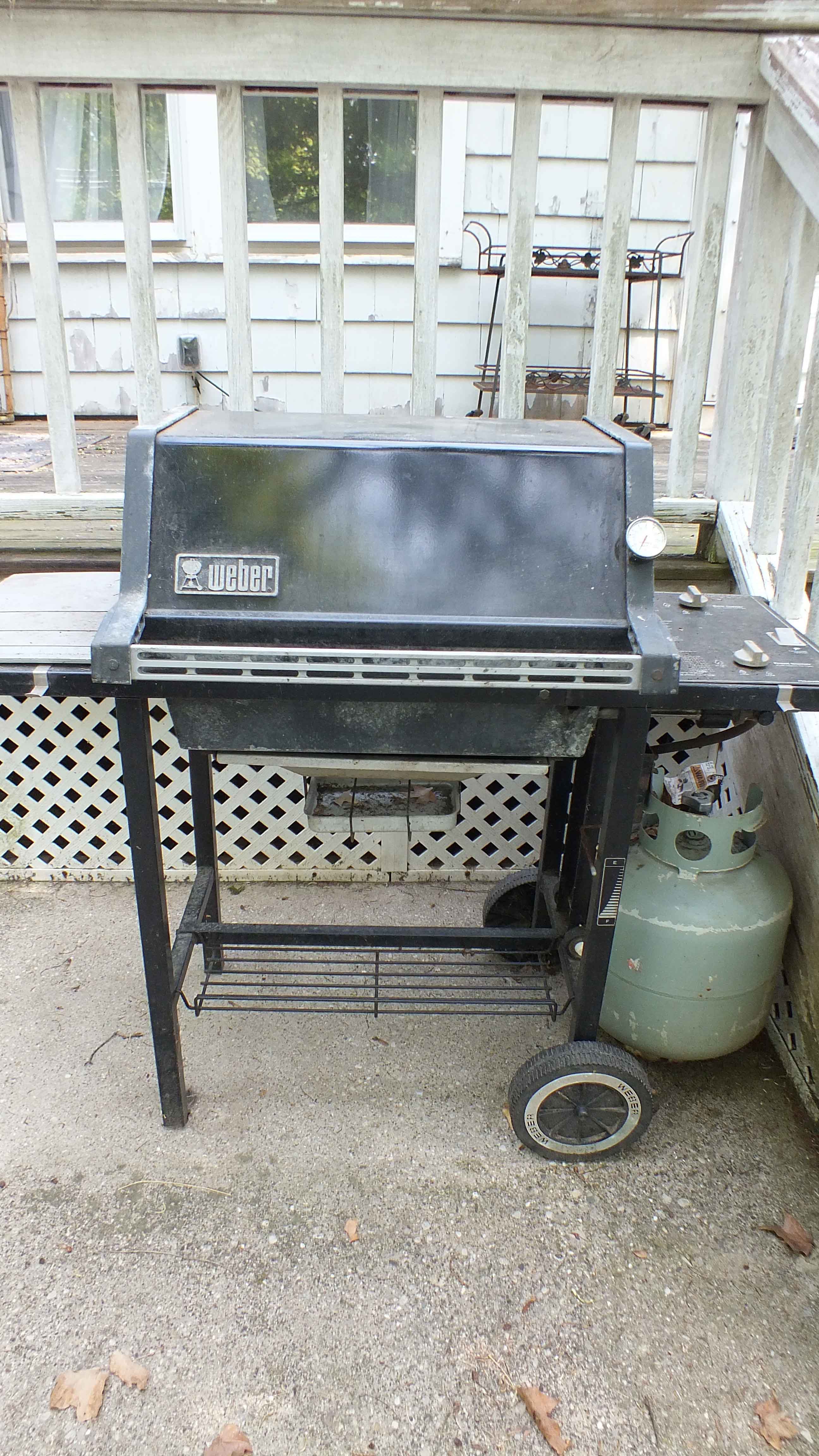 Older Weber Gas Grill