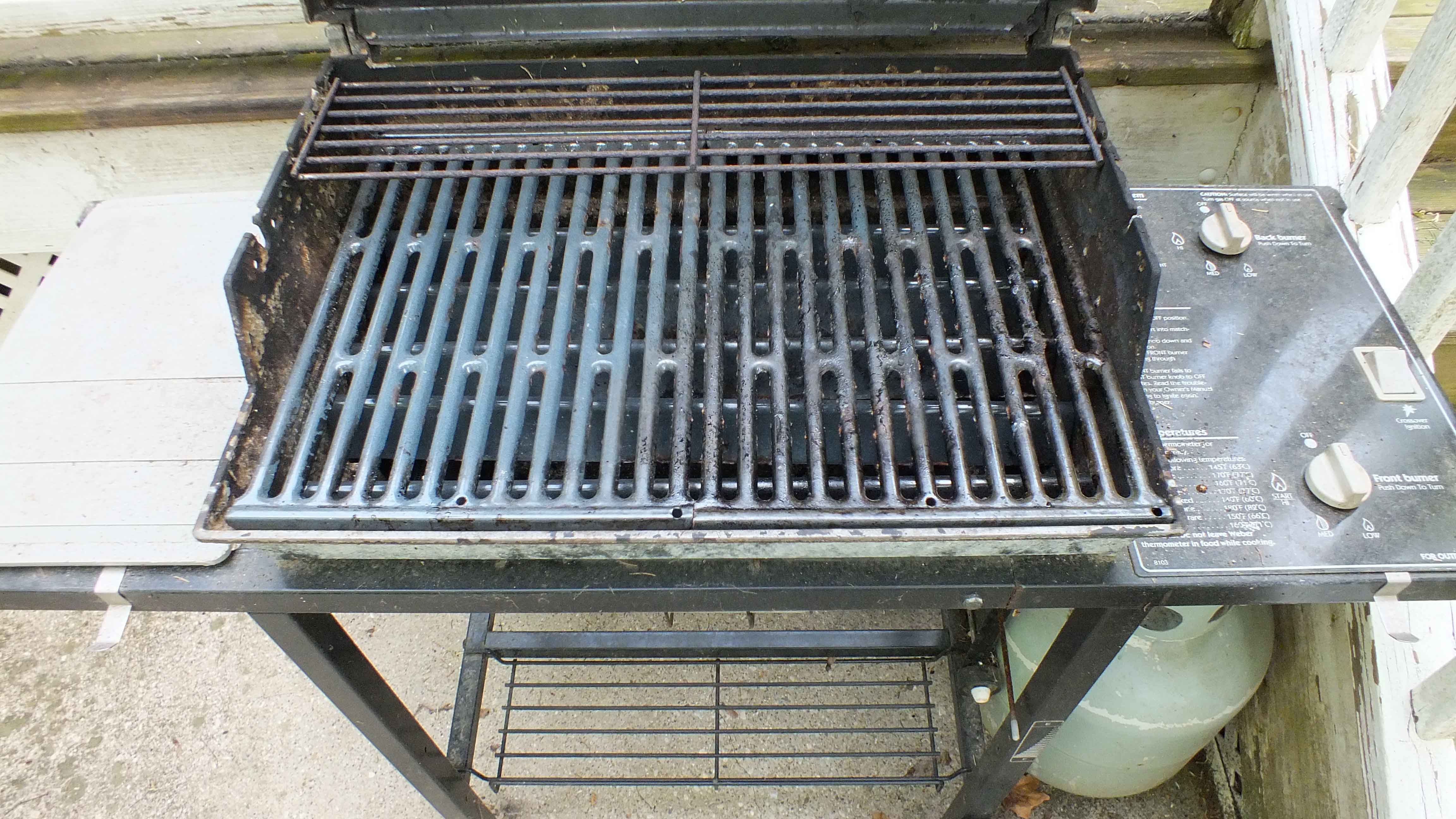 Older Weber Gas Grill