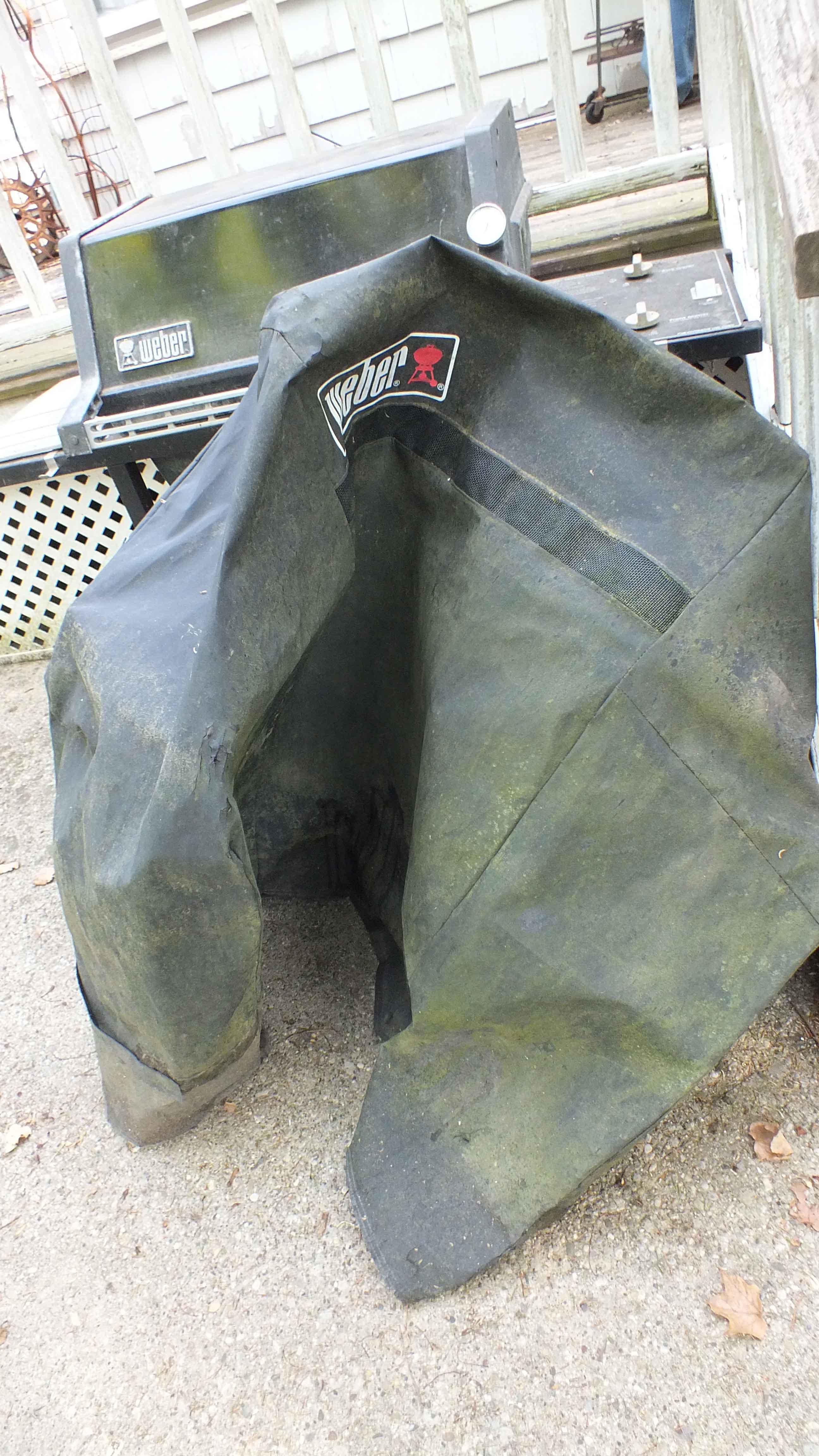 Older Weber Gas Grill