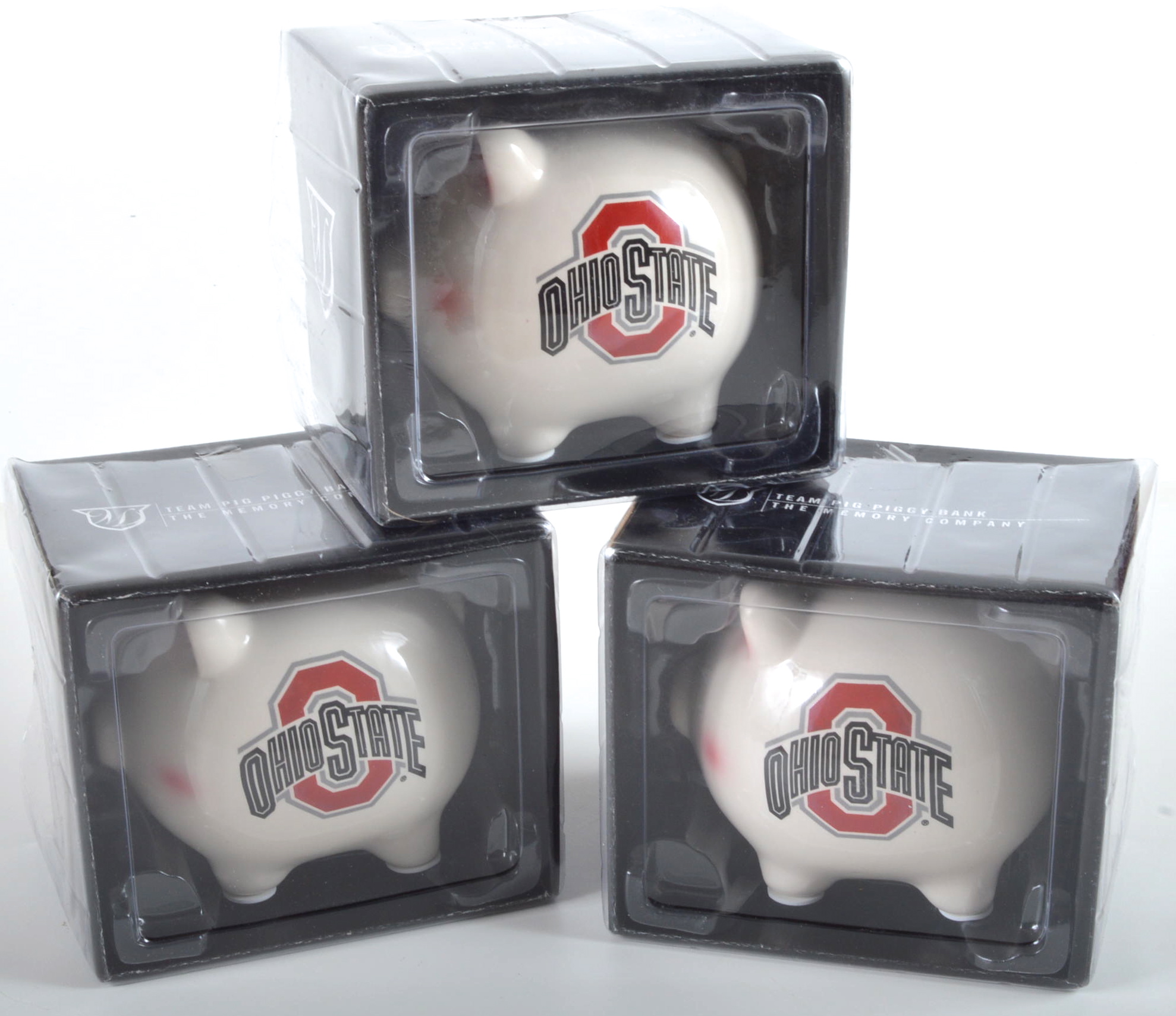 Ohio State University Fan Lot