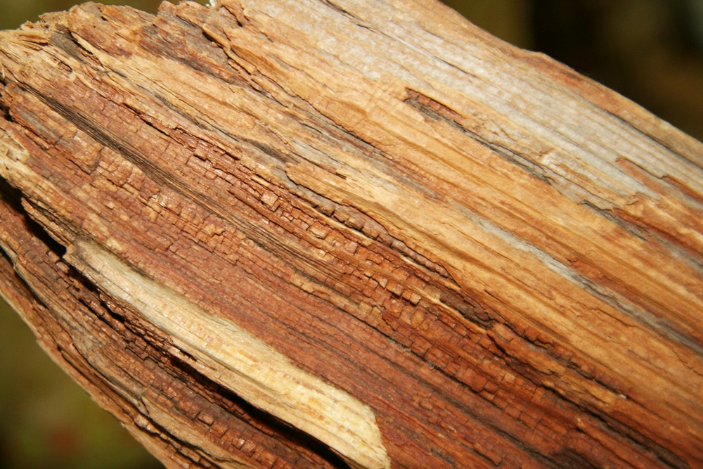 Hand-Carved Driftwood Folk Art