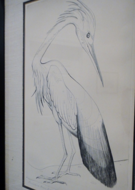 Ray H. French Print "Louisiana Heron"
