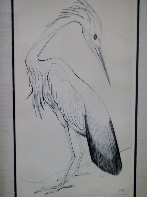 Ray H. French Print "Louisiana Heron"