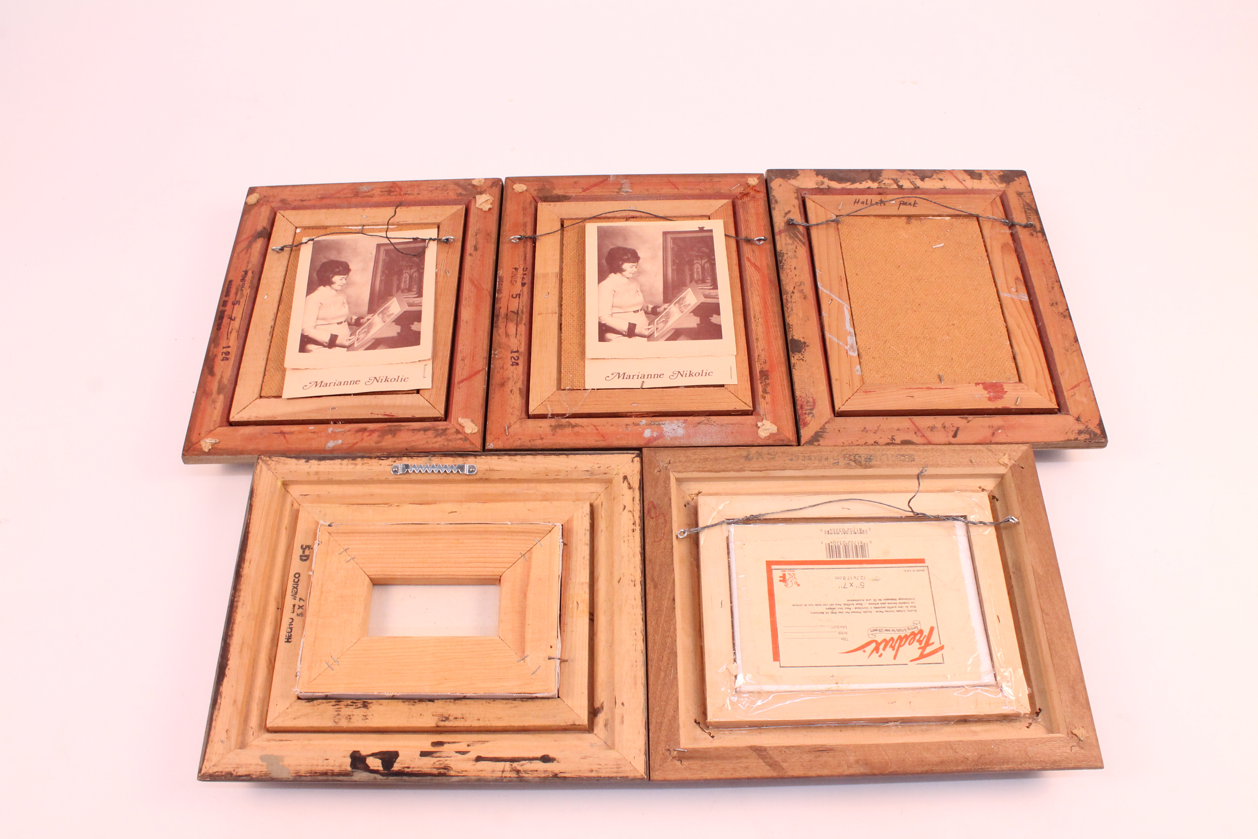 Collection of Marianne Nikolic Framed Acrylics 