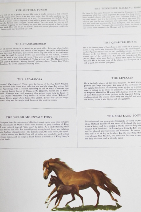 Wesley Dennis Soft "Portfolio of Horse Paintings"