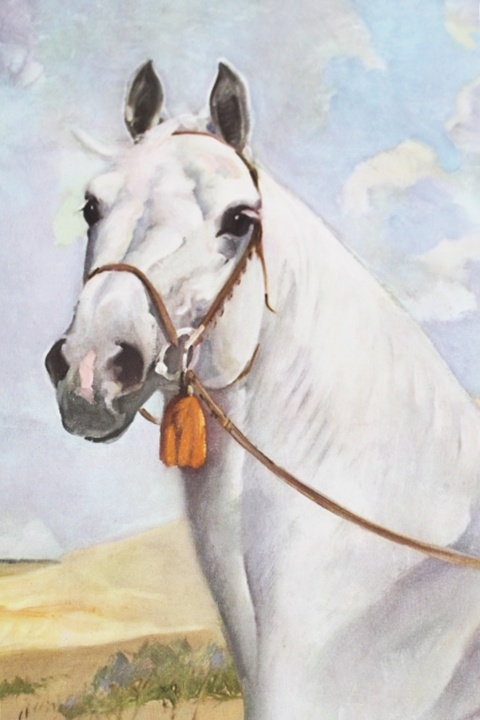 Wesley Dennis Soft "Portfolio of Horse Paintings"