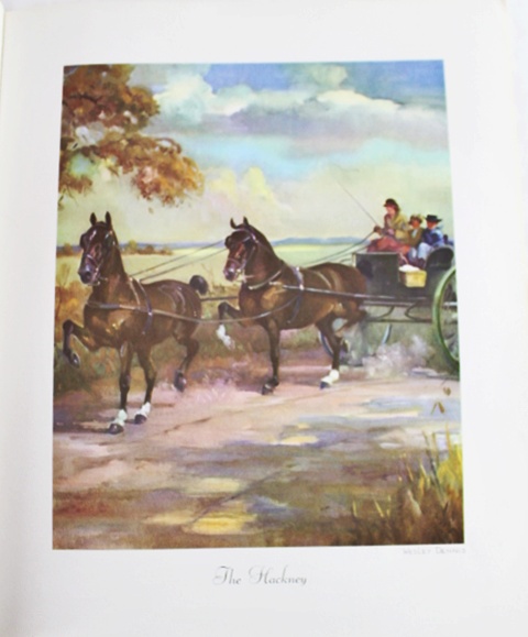 Wesley Dennis Soft "Portfolio of Horse Paintings"