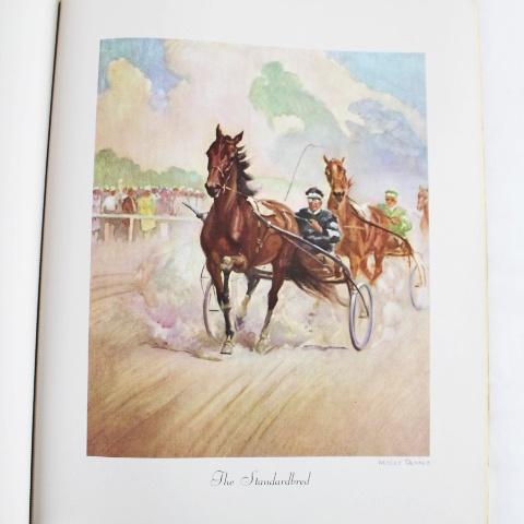 Wesley Dennis Soft "Portfolio of Horse Paintings"