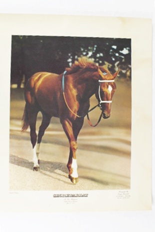 Limited Edition Print of "Secretariat at the Belmont"