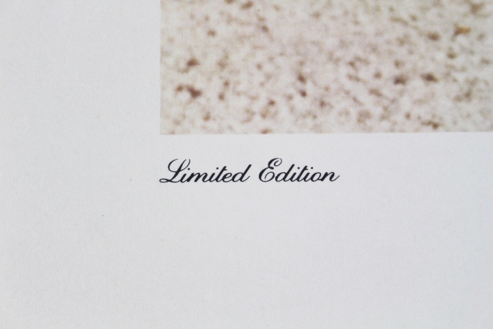 Limited Edition Print of "Secretariat at the Belmont"