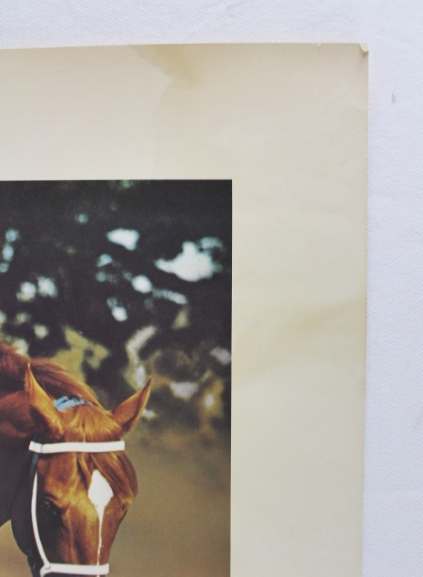 Limited Edition Print of "Secretariat at the Belmont"