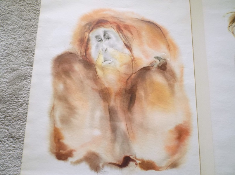 Two Modern Wildlife Prints by Meyer Garlen