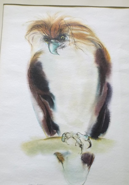 Two Modern Wildlife Prints by Meyer Garlen