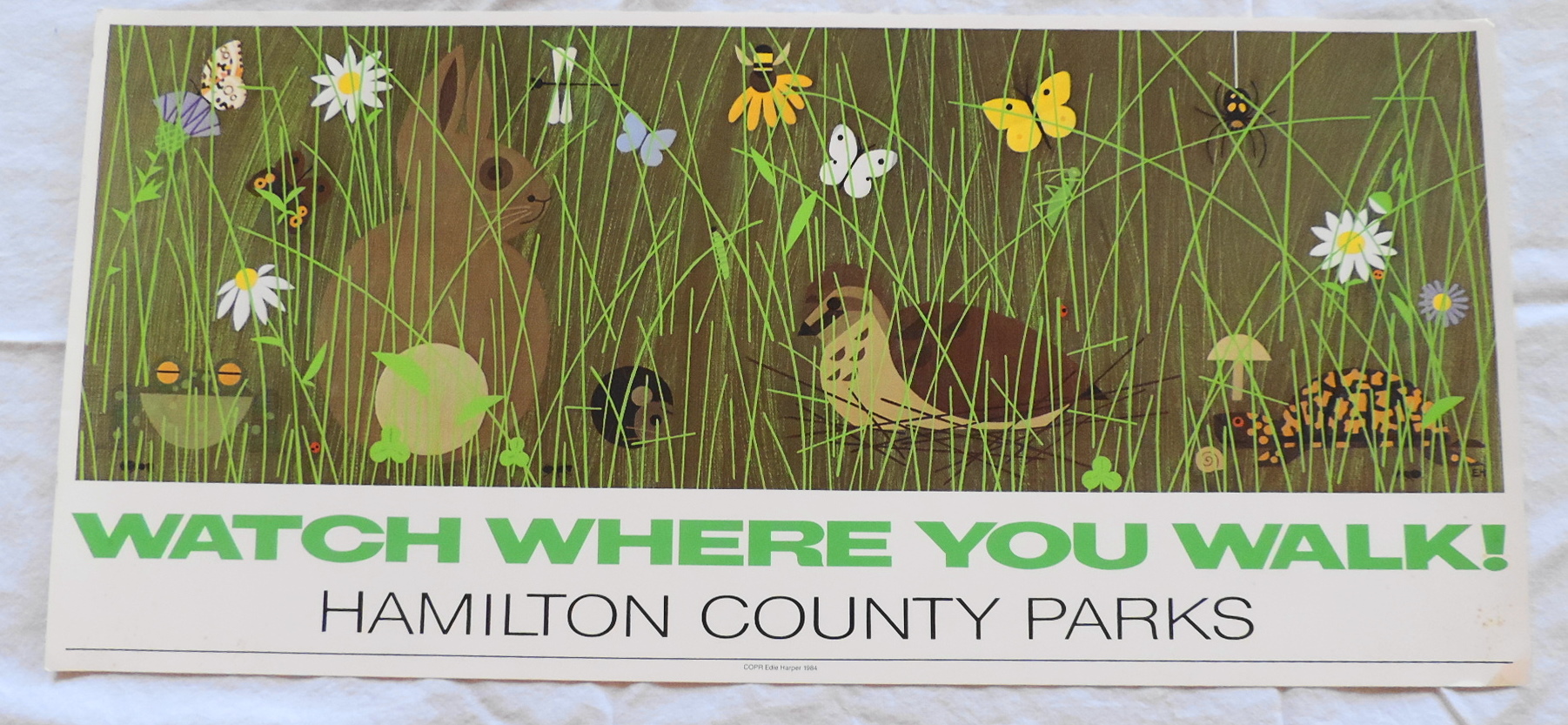 Charley Harper Poster Collection