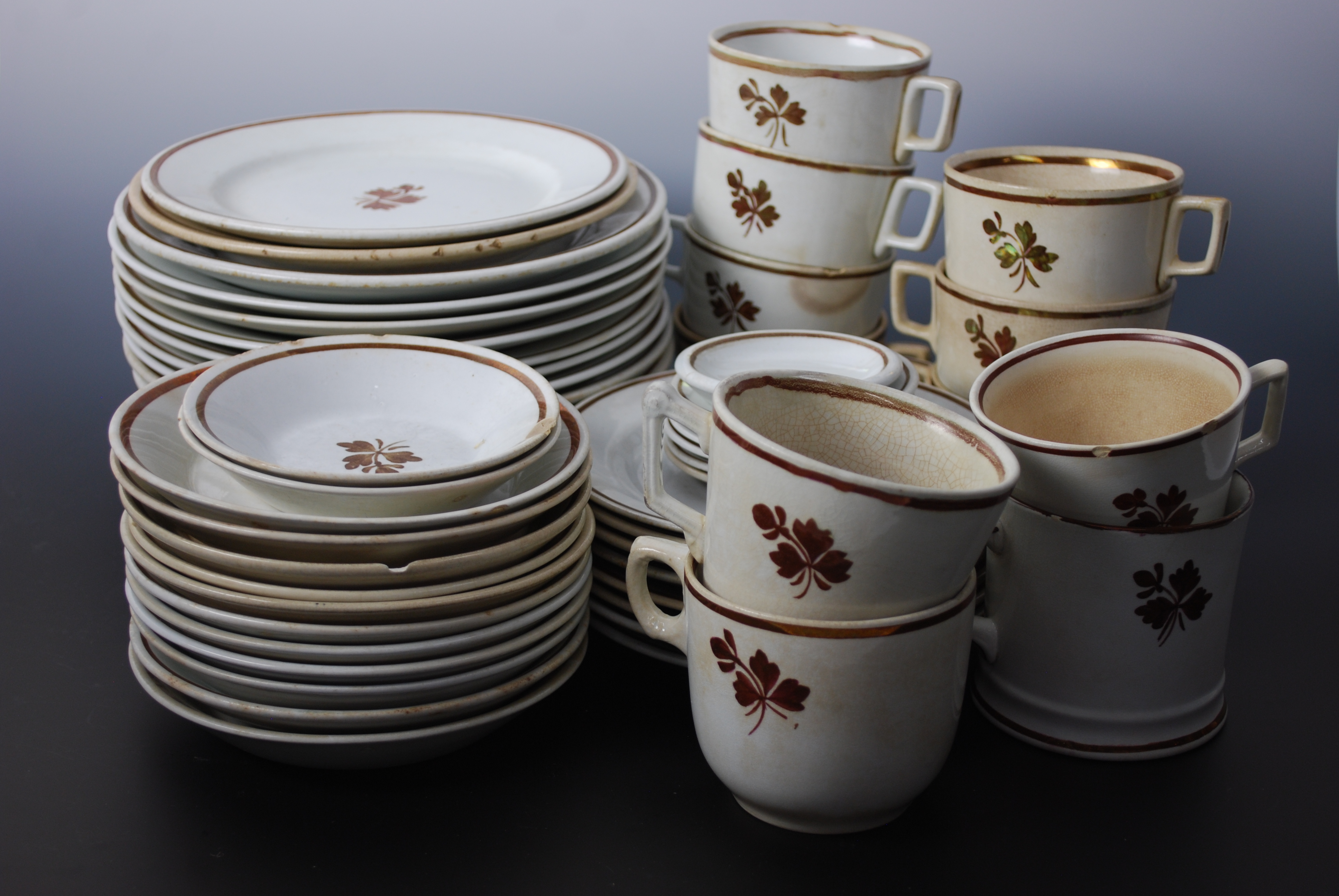 Ironstone Dinnerware Collection