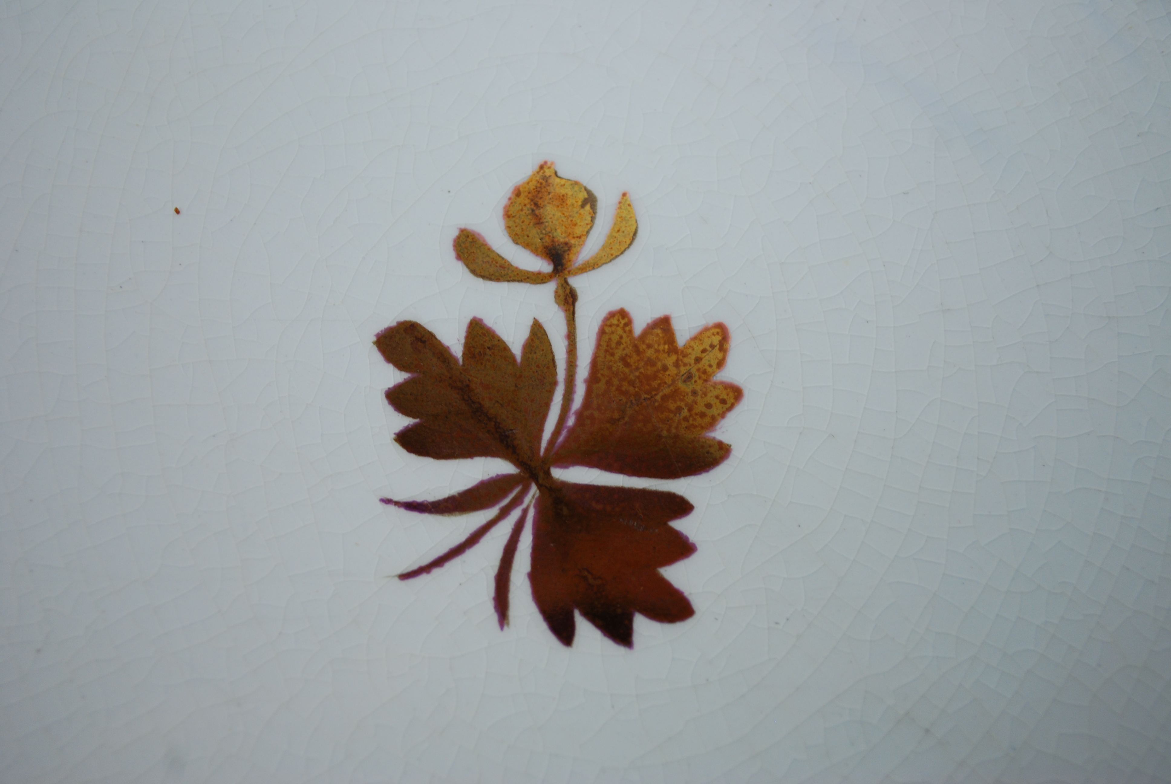 Ironstone Dinnerware Collection