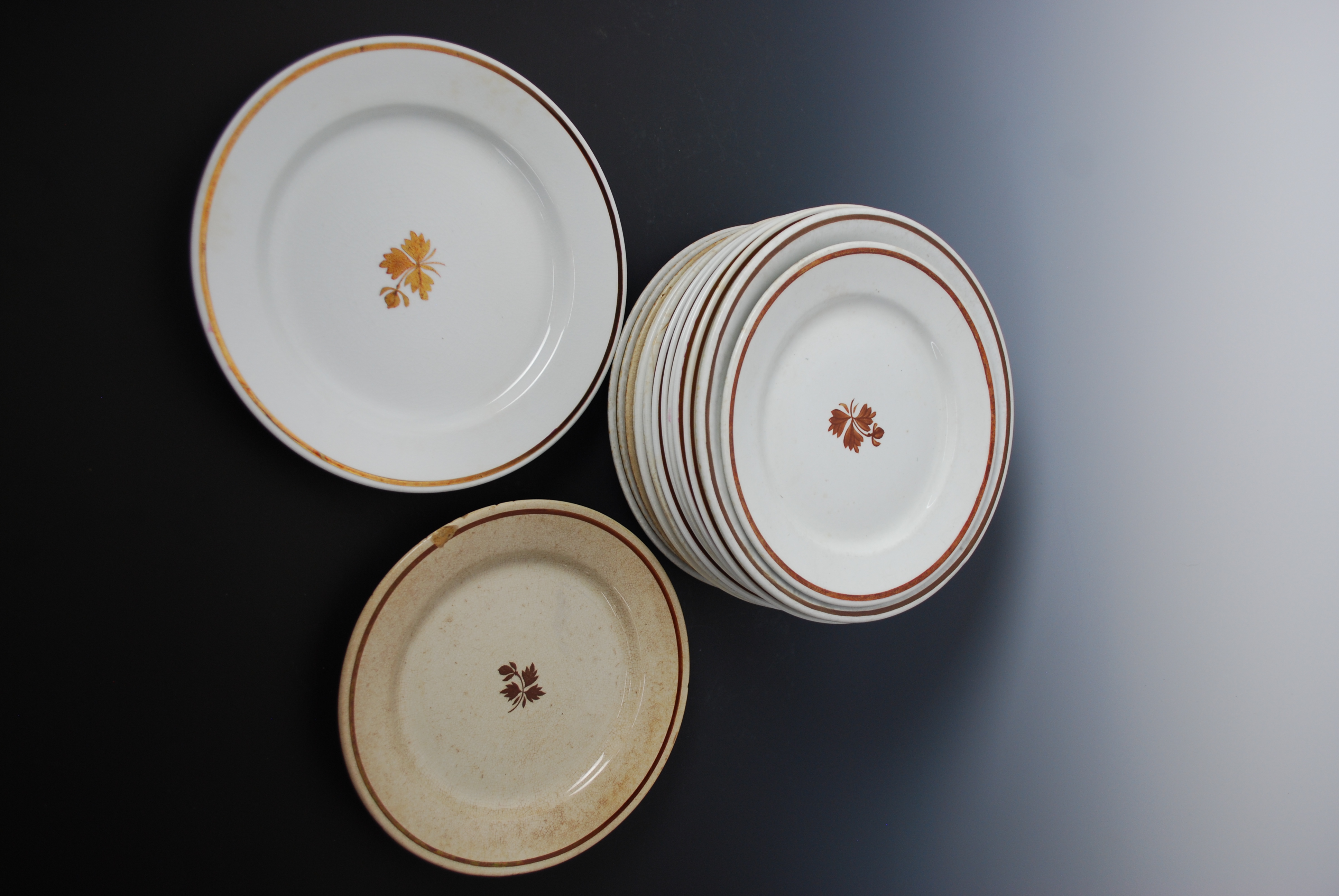 Ironstone Dinnerware Collection