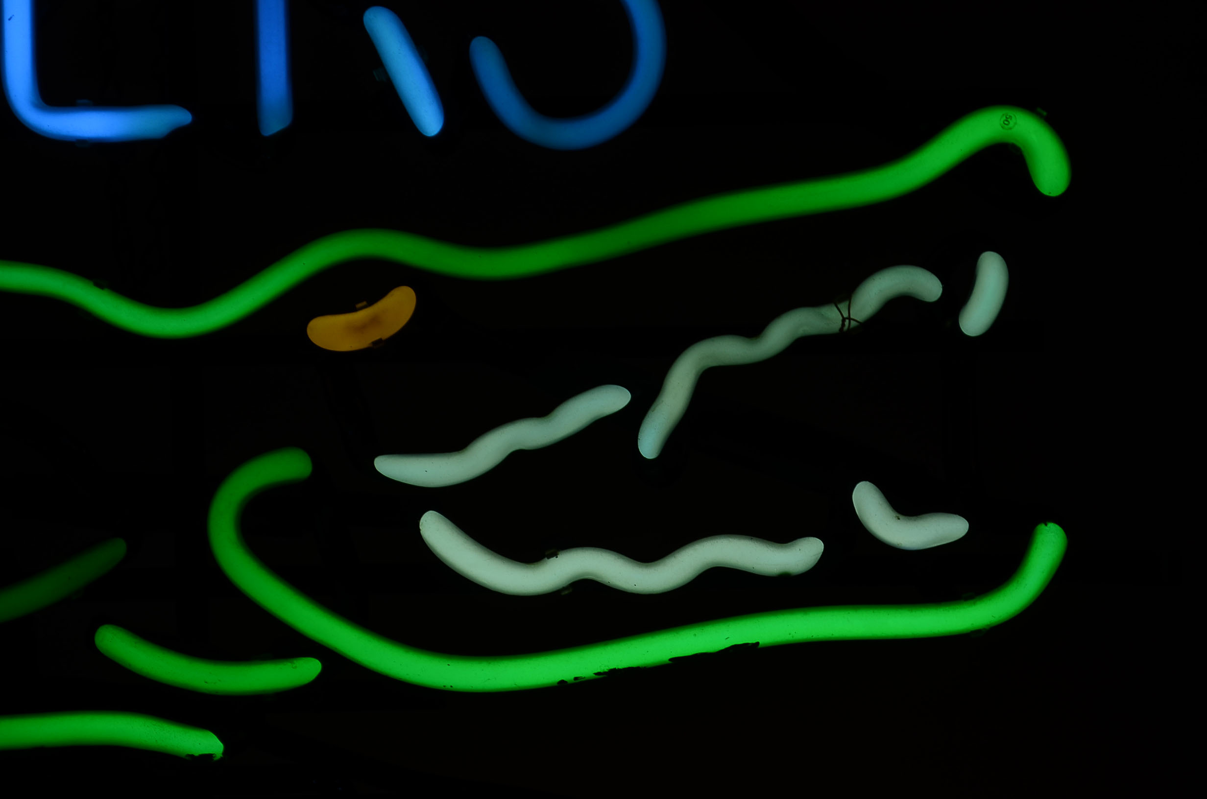 Foster's Beer Neon Sign