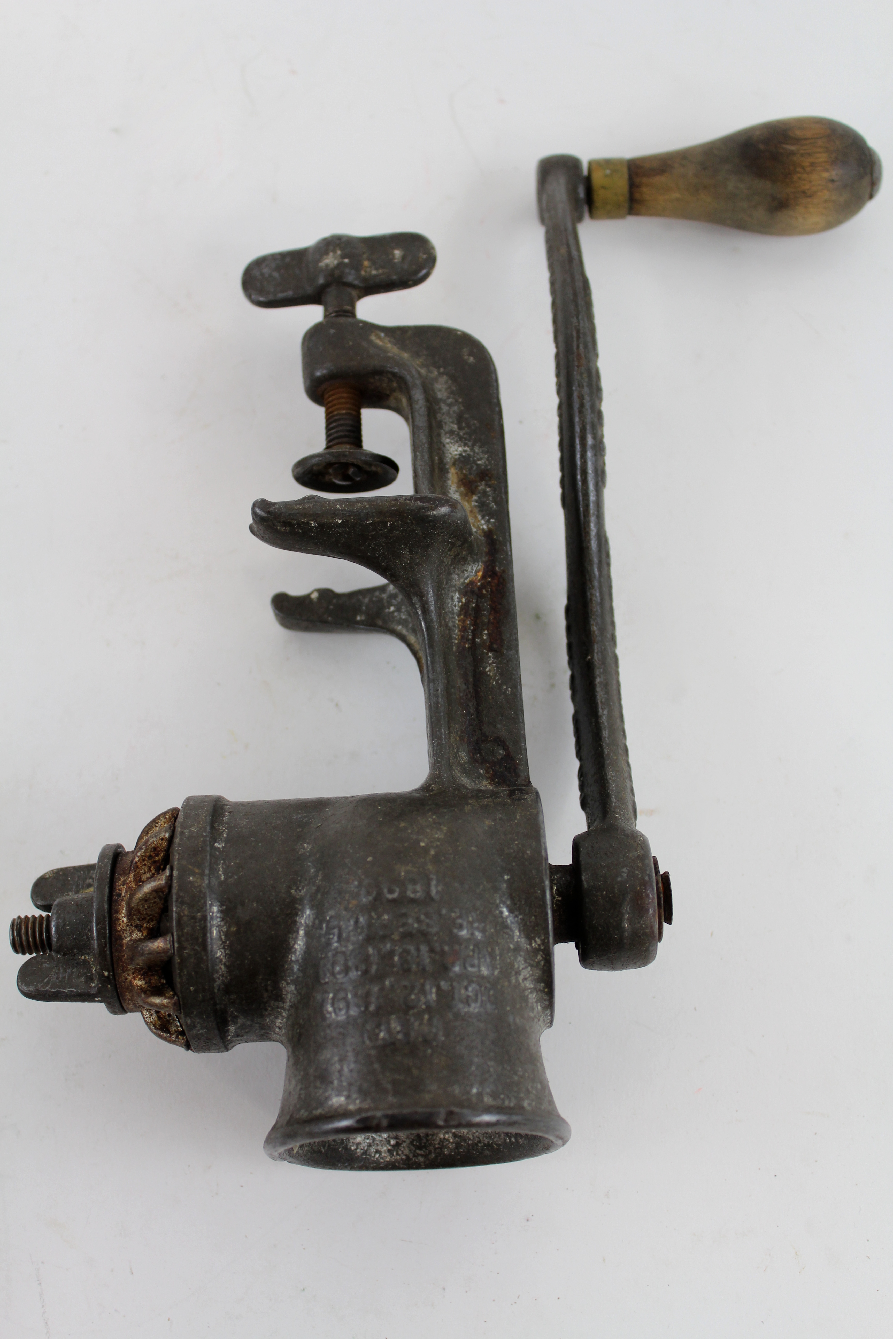 Assortment of Curiosities