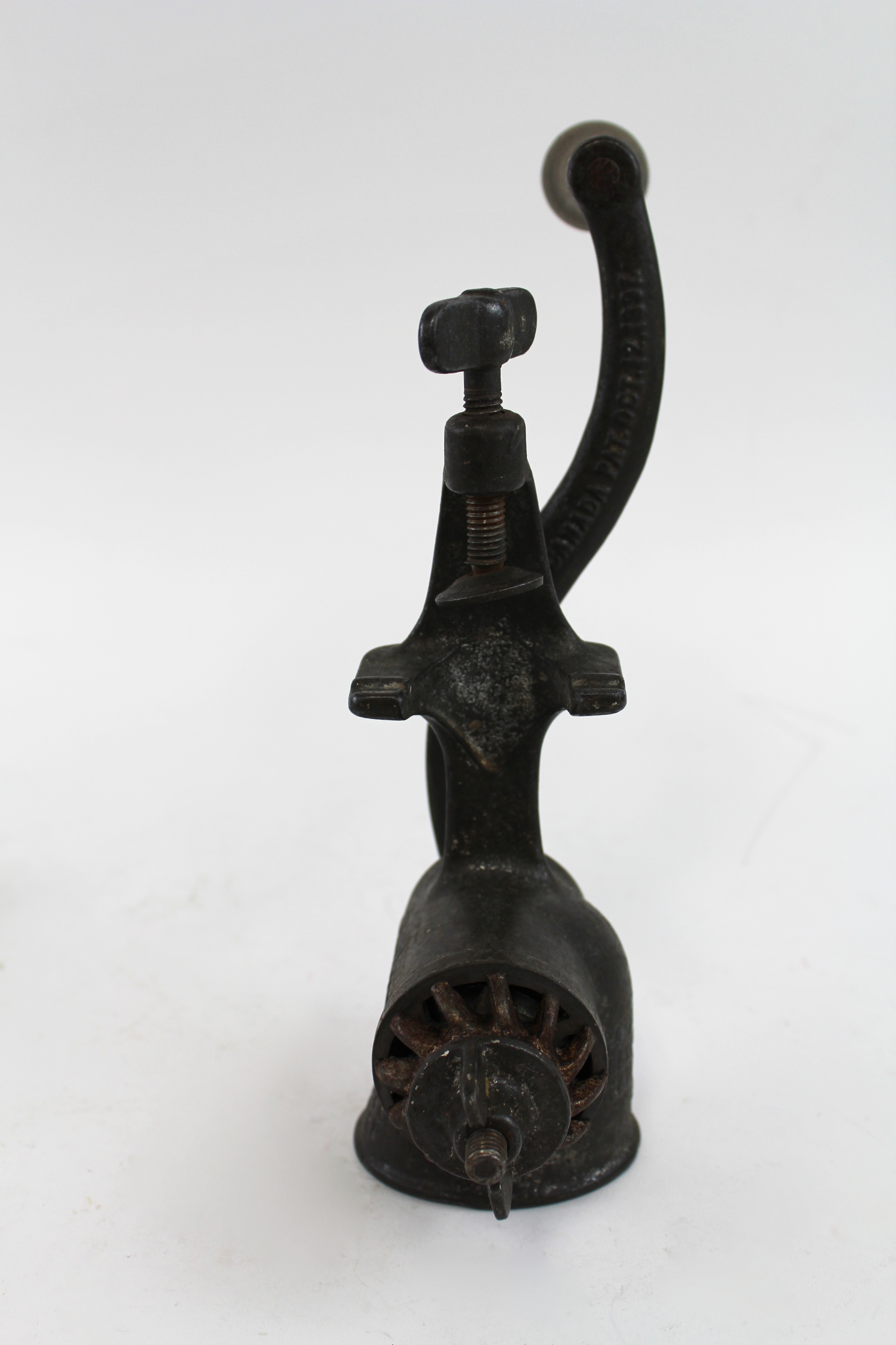 Assortment of Curiosities