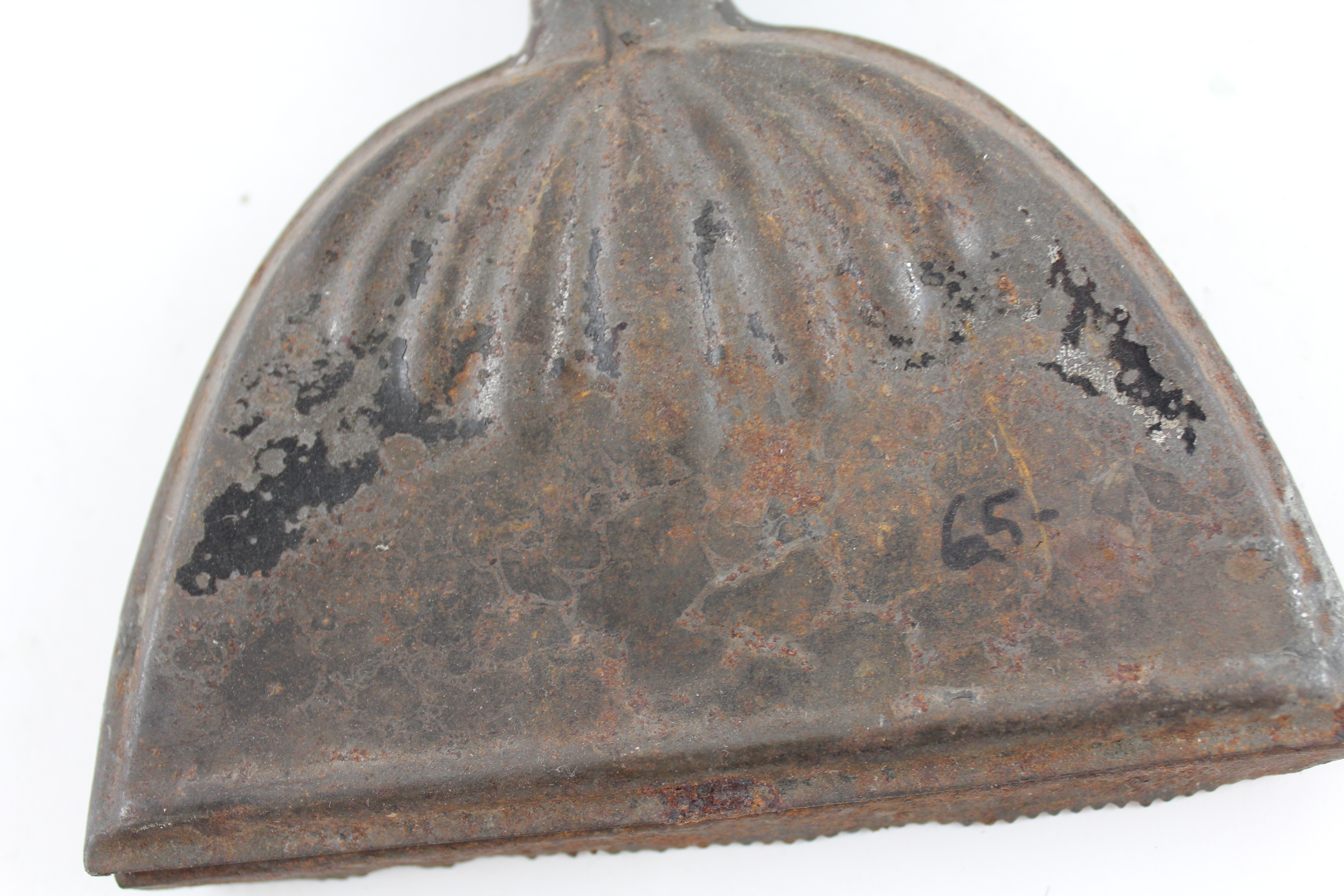 Assortment of Curiosities