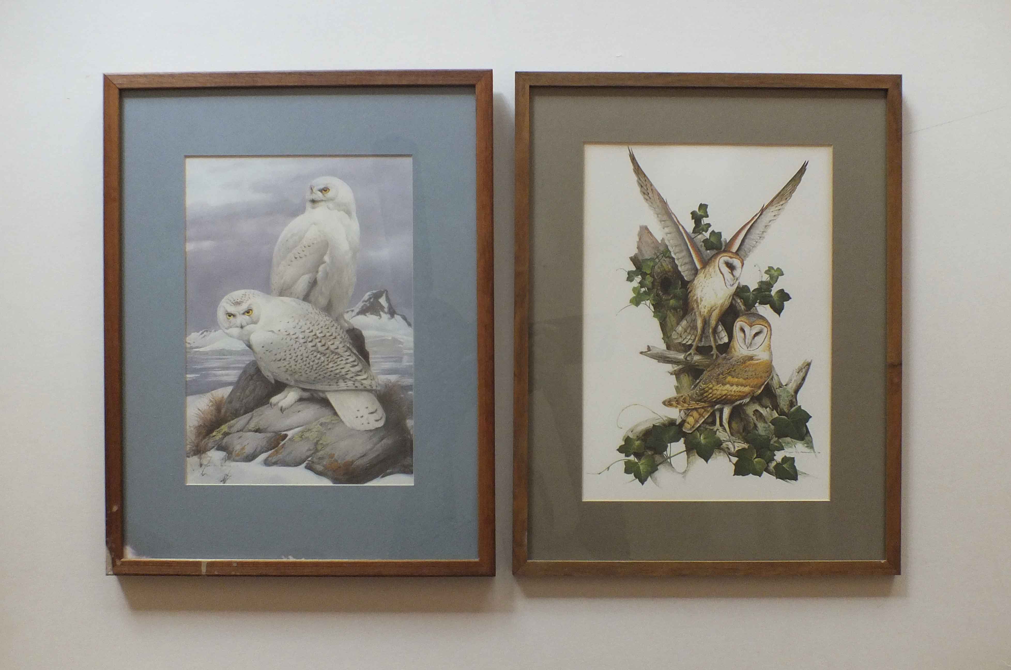 Two Framed Roger Tory Peterson Owl Prints
