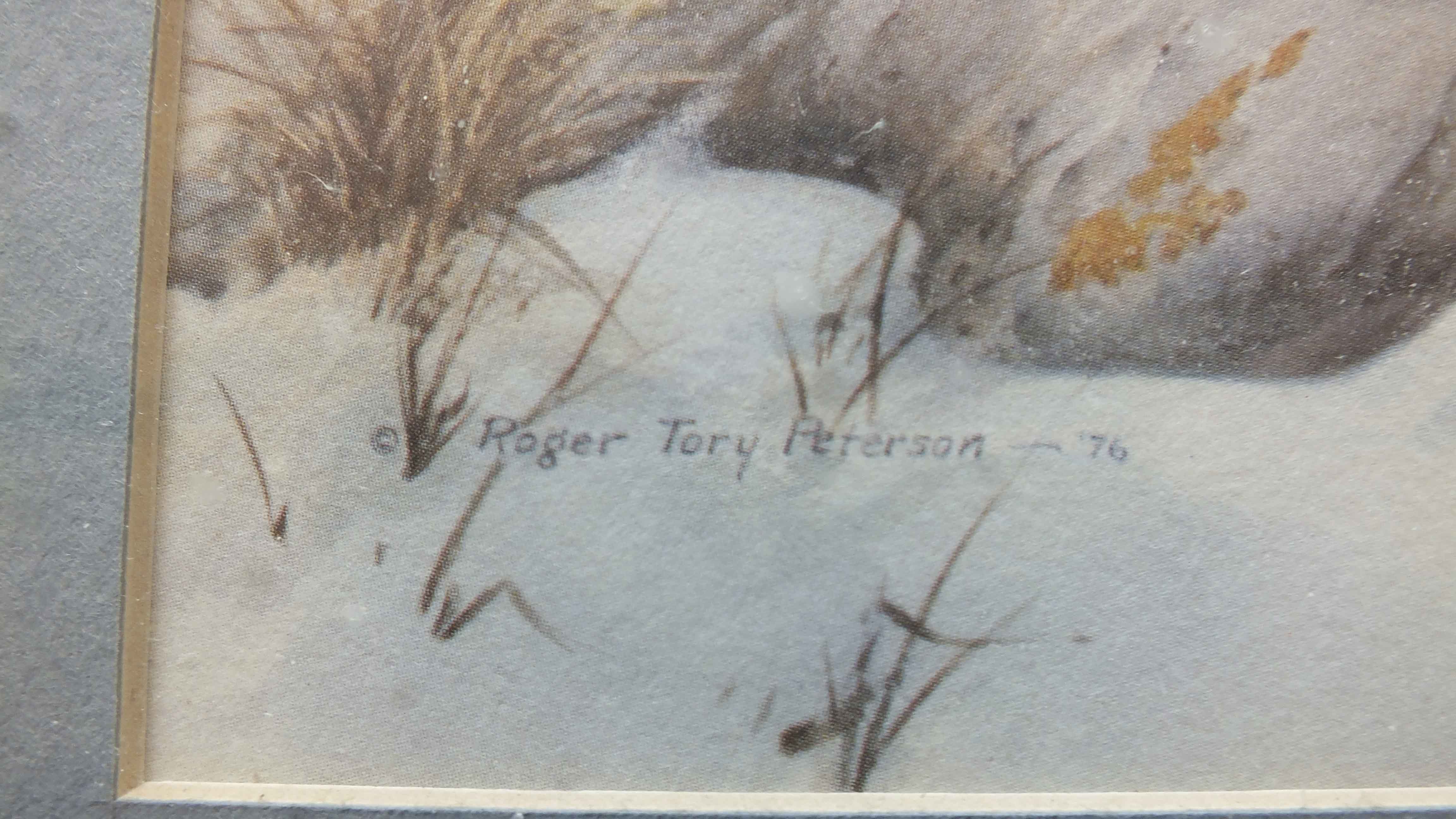 Two Framed Roger Tory Peterson Owl Prints