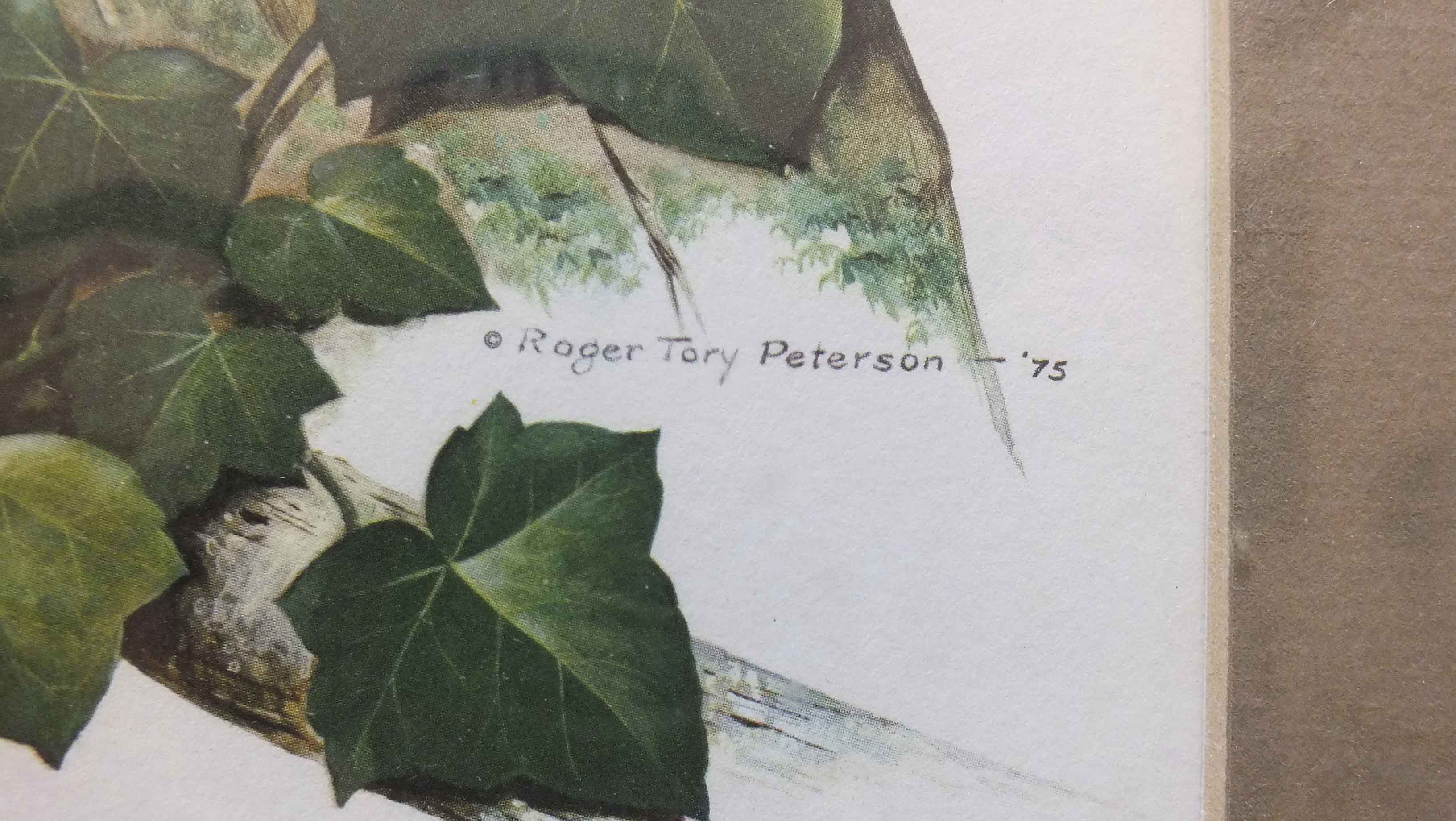 Two Framed Roger Tory Peterson Owl Prints