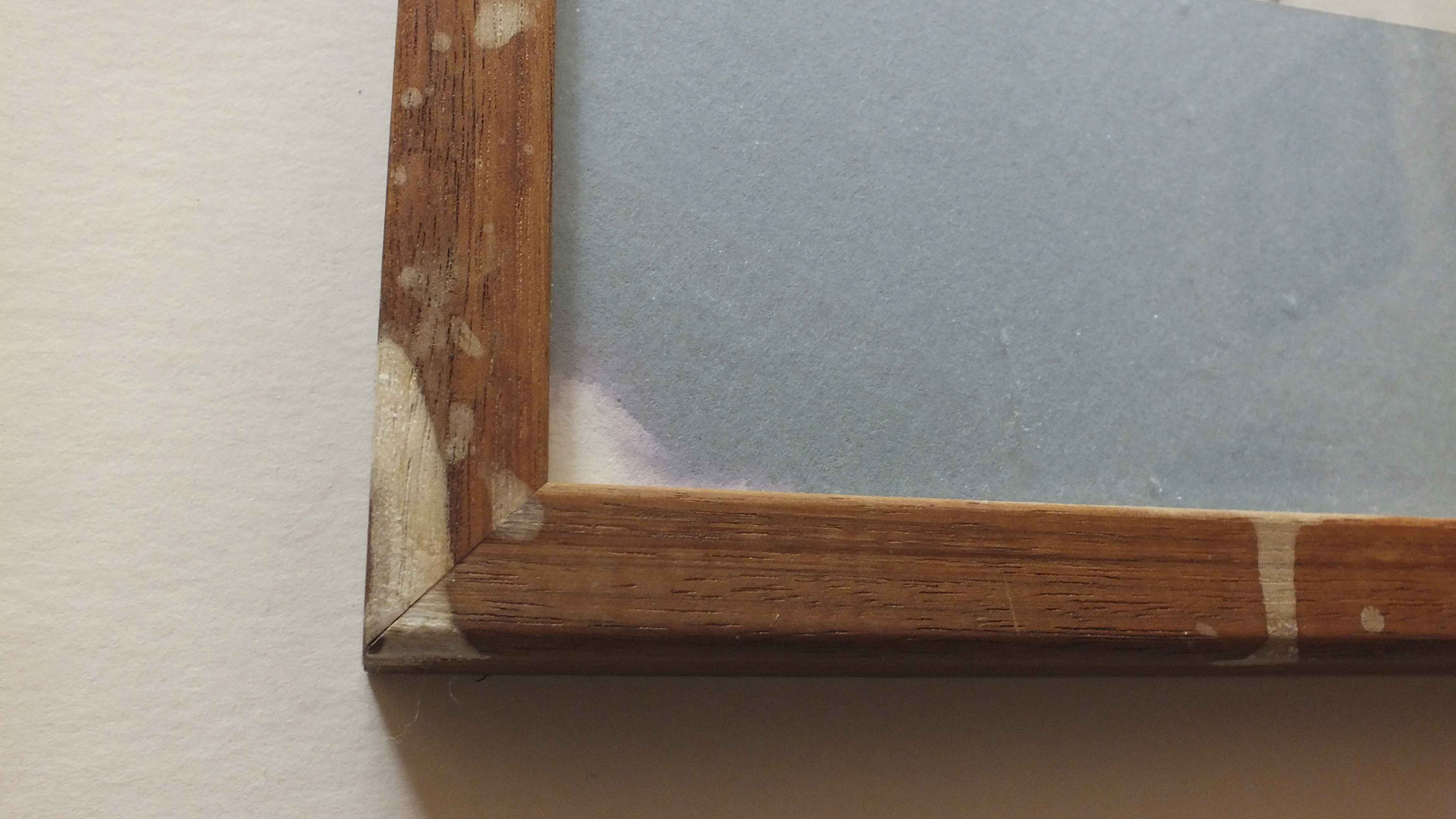 Two Framed Roger Tory Peterson Owl Prints