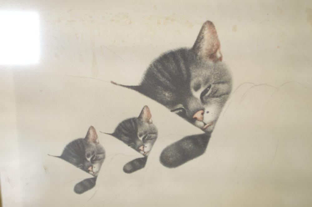 1935 Chesapeake and Ohio George Washington Railroad Advertisement